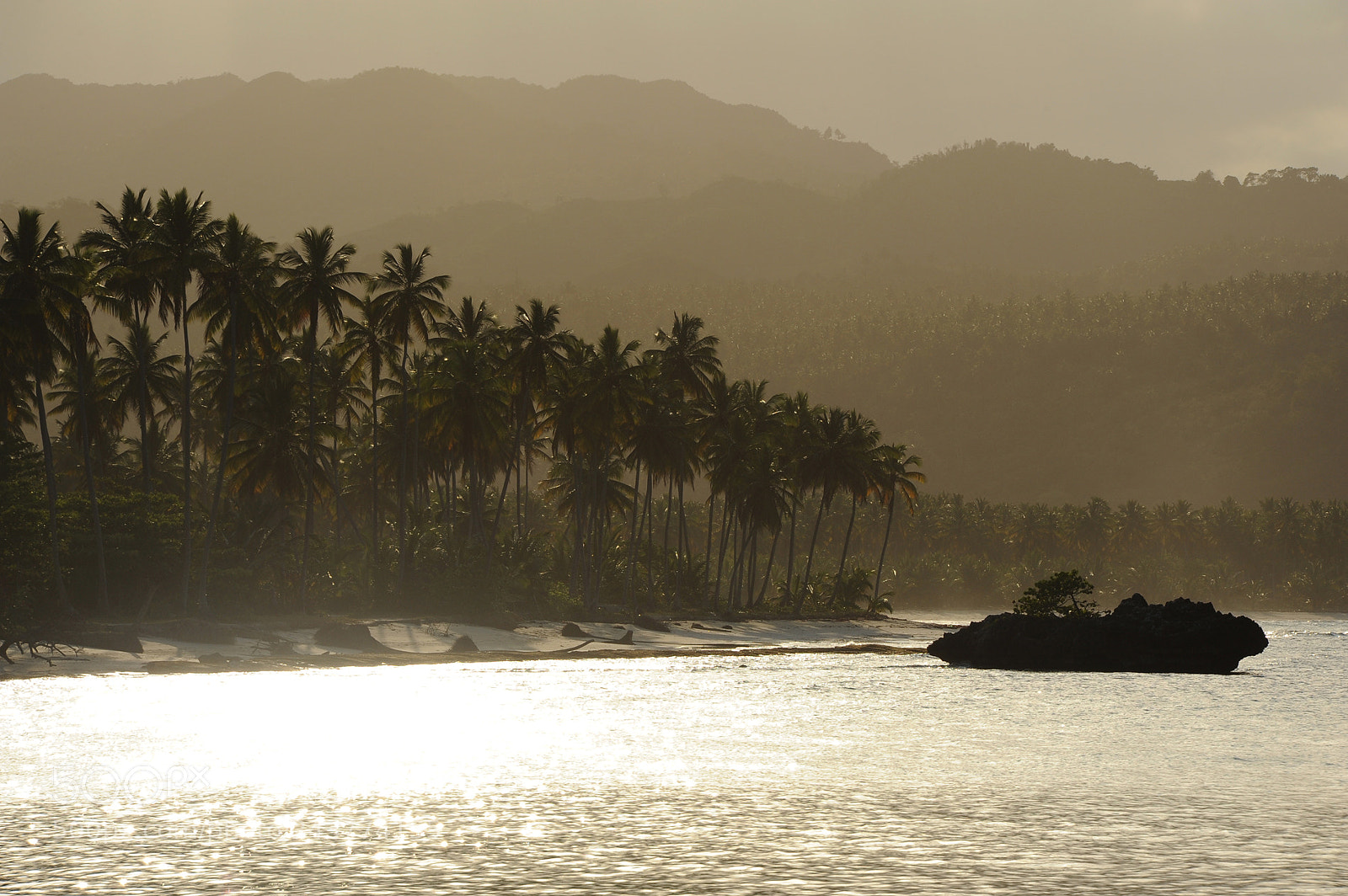 Nikon D700 sample photo. Playa rincon, samana peninsula photography