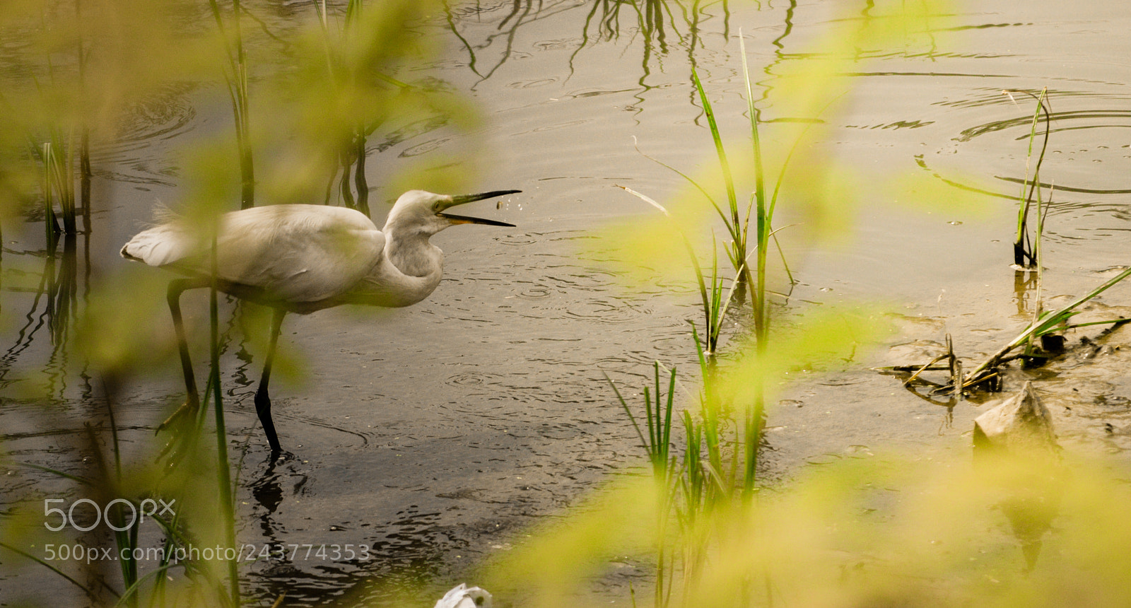 Nikon D3200 sample photo. It's supper time! photography