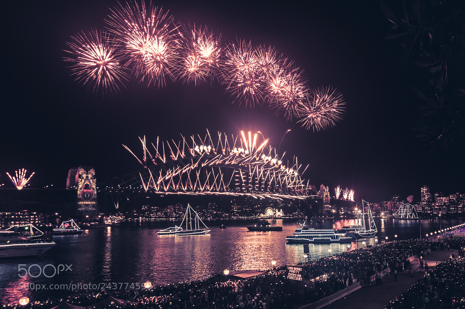 Sony a7 II sample photo. The grand finale photography