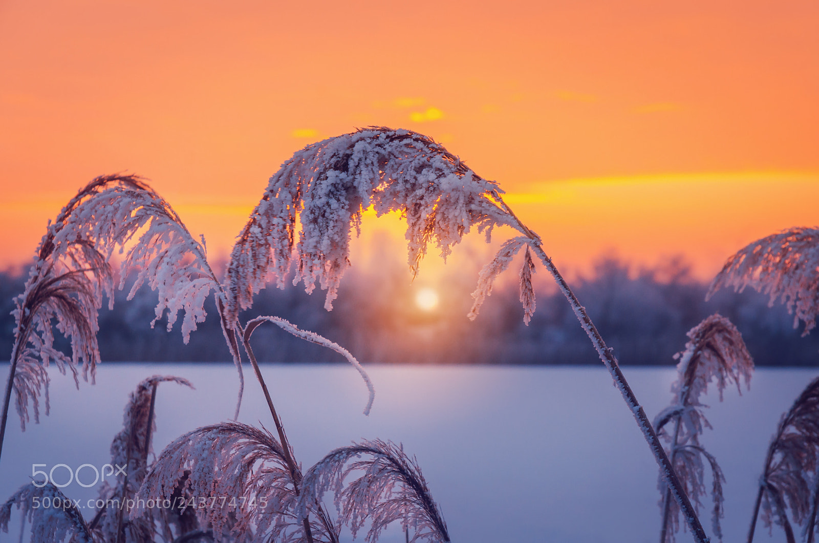 Nikon D5100 sample photo. Winter sunset photography