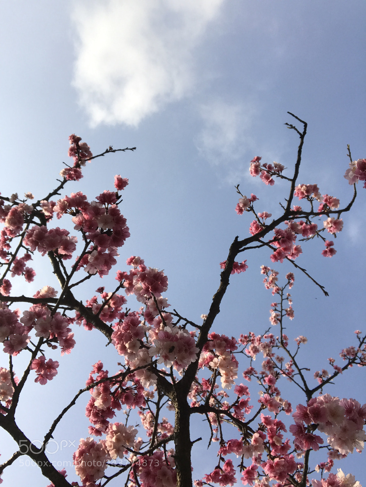 Apple iPhone 7 sample photo. #taiwan photography