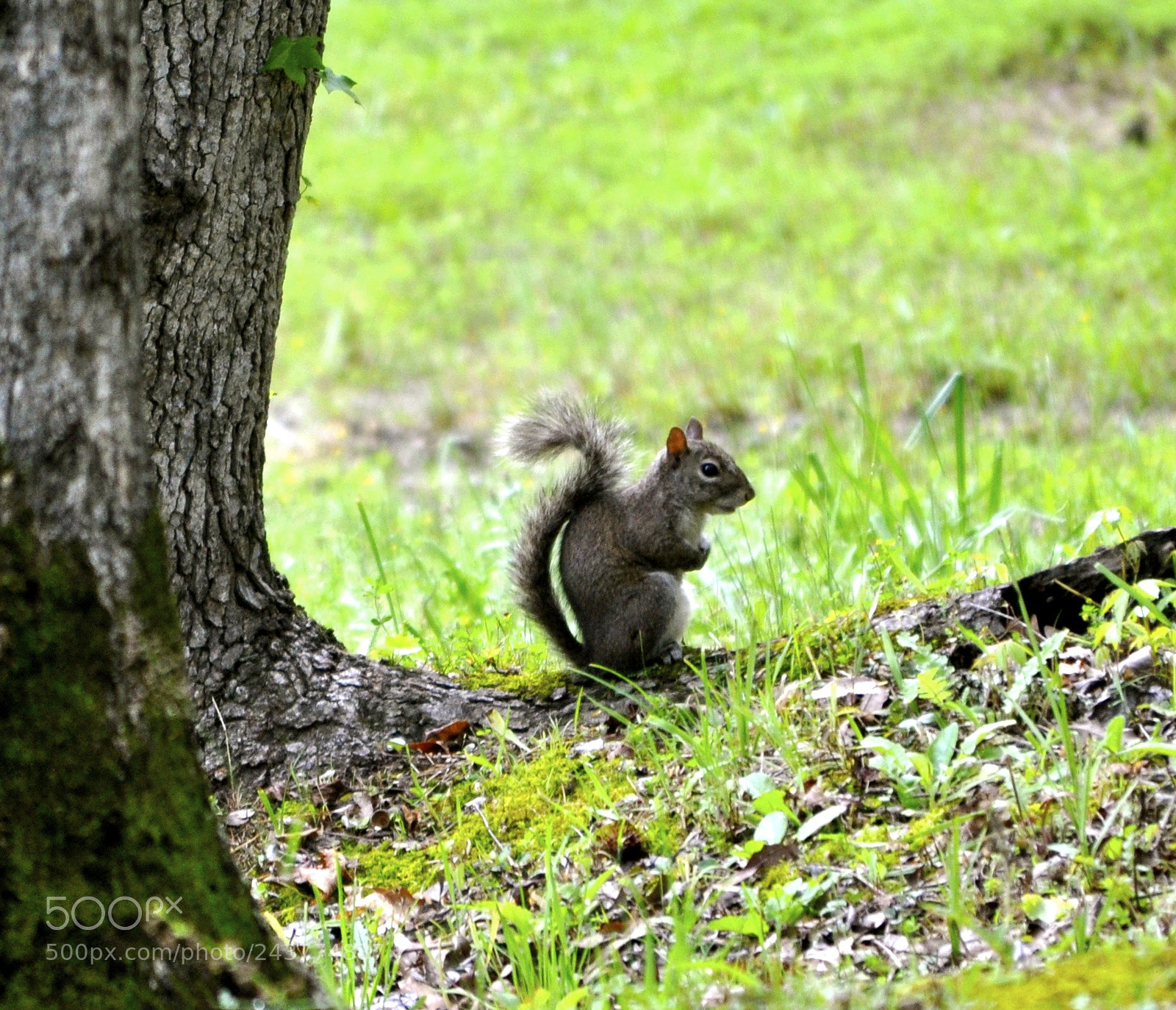 Nikon D90 sample photo. Dsc photography
