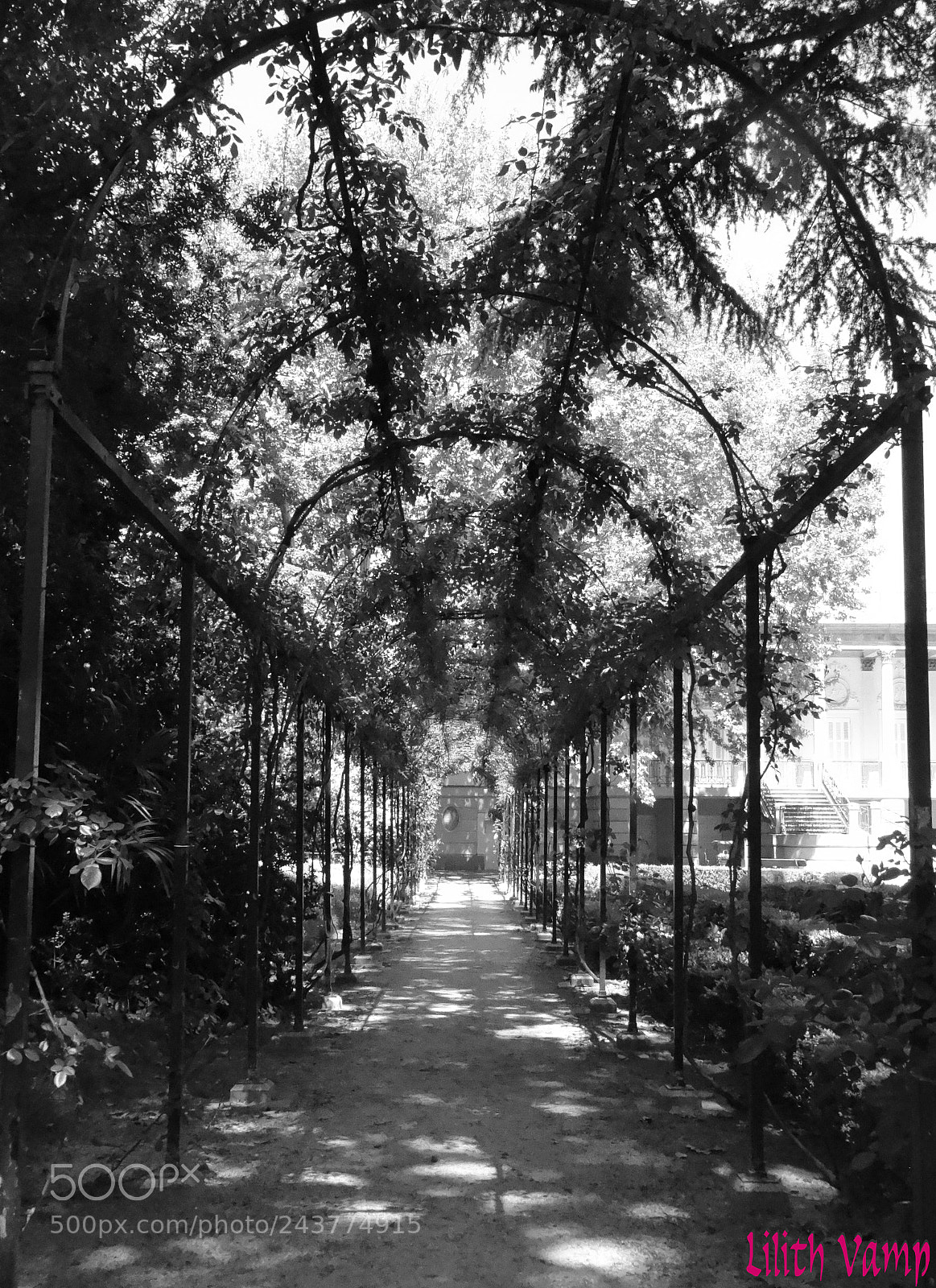 Sony DSC-HX50 sample photo. Pasillo caprichoso photography