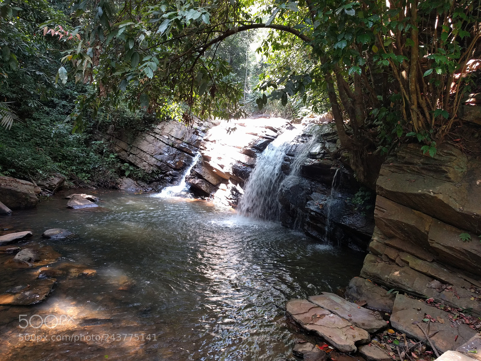 Google Nexus 6P sample photo. Personal pond photography