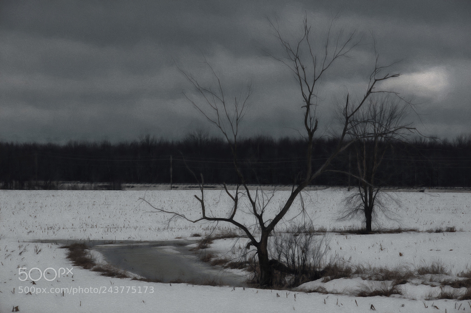 Nikon D90 sample photo. Frozen lake... photography