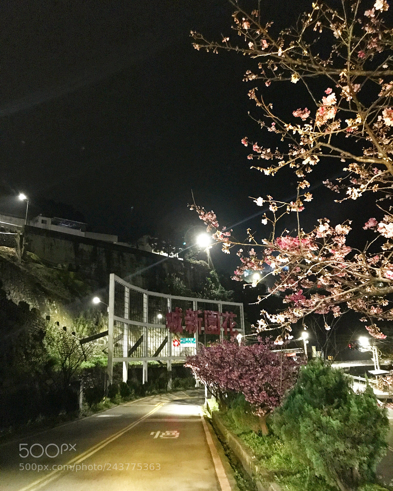 Apple iPhone 7 sample photo. #taiwan photography