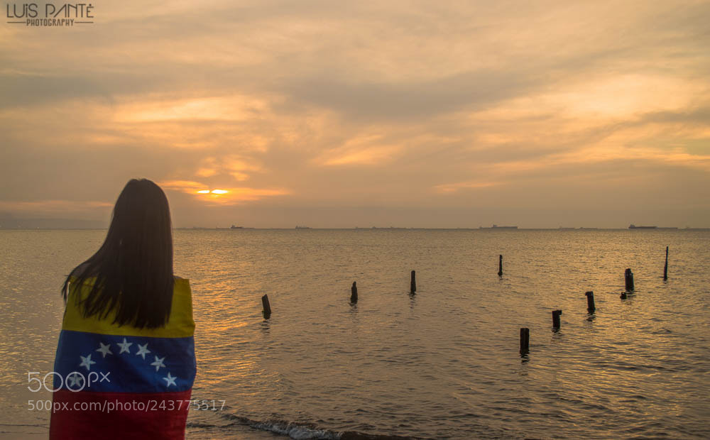 Nikon D3200 sample photo. Last sunrise photography