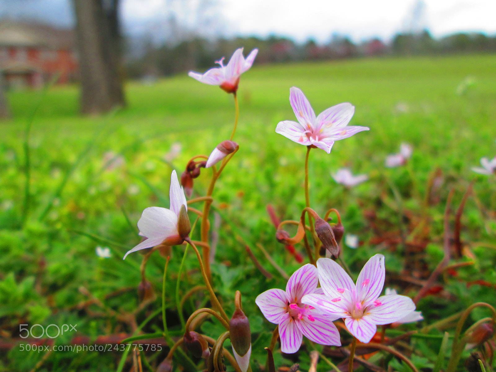 Canon PowerShot A2300 sample photo. Img photography