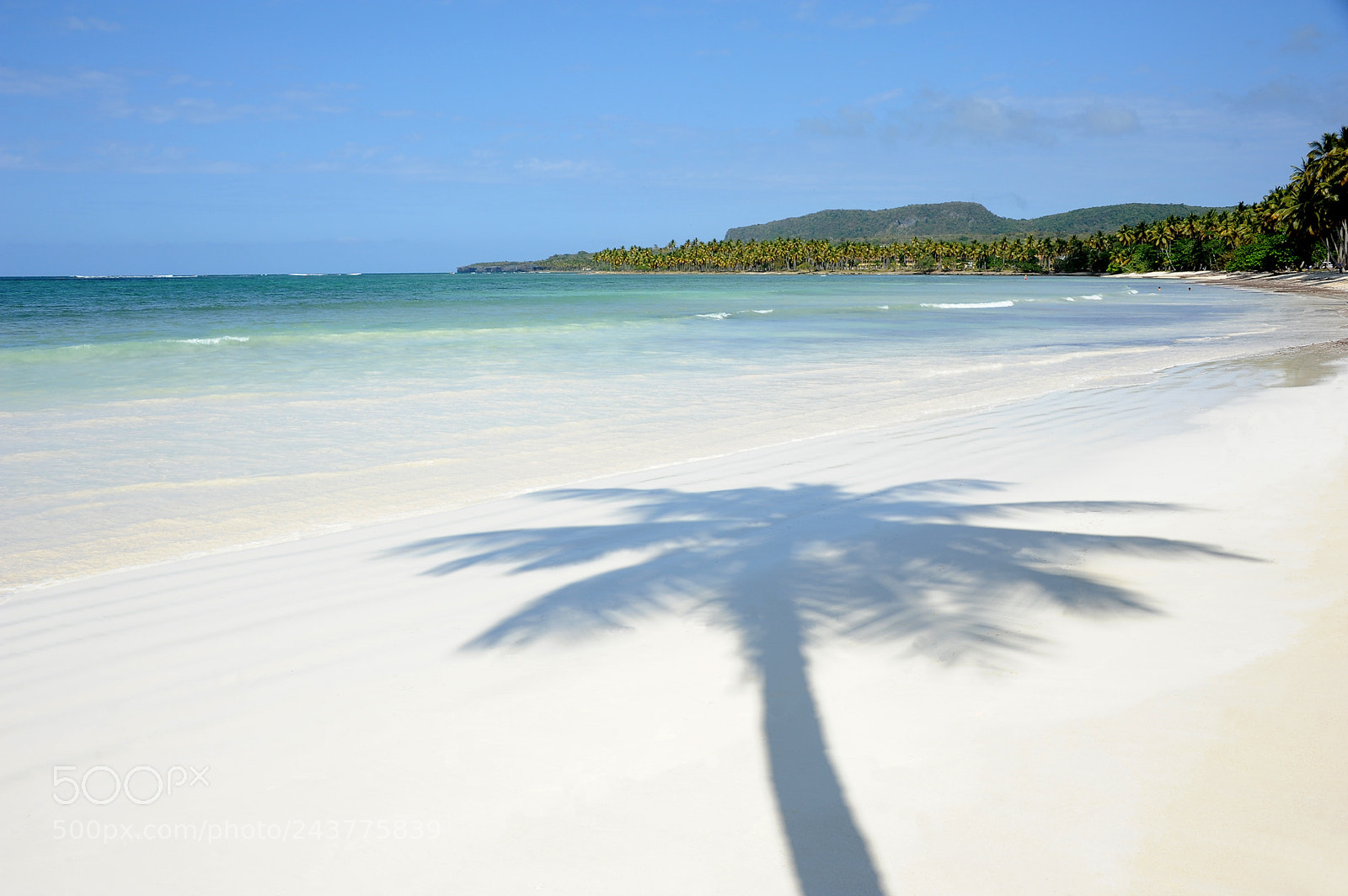 Nikon D700 sample photo. Playa las galeras, samana photography