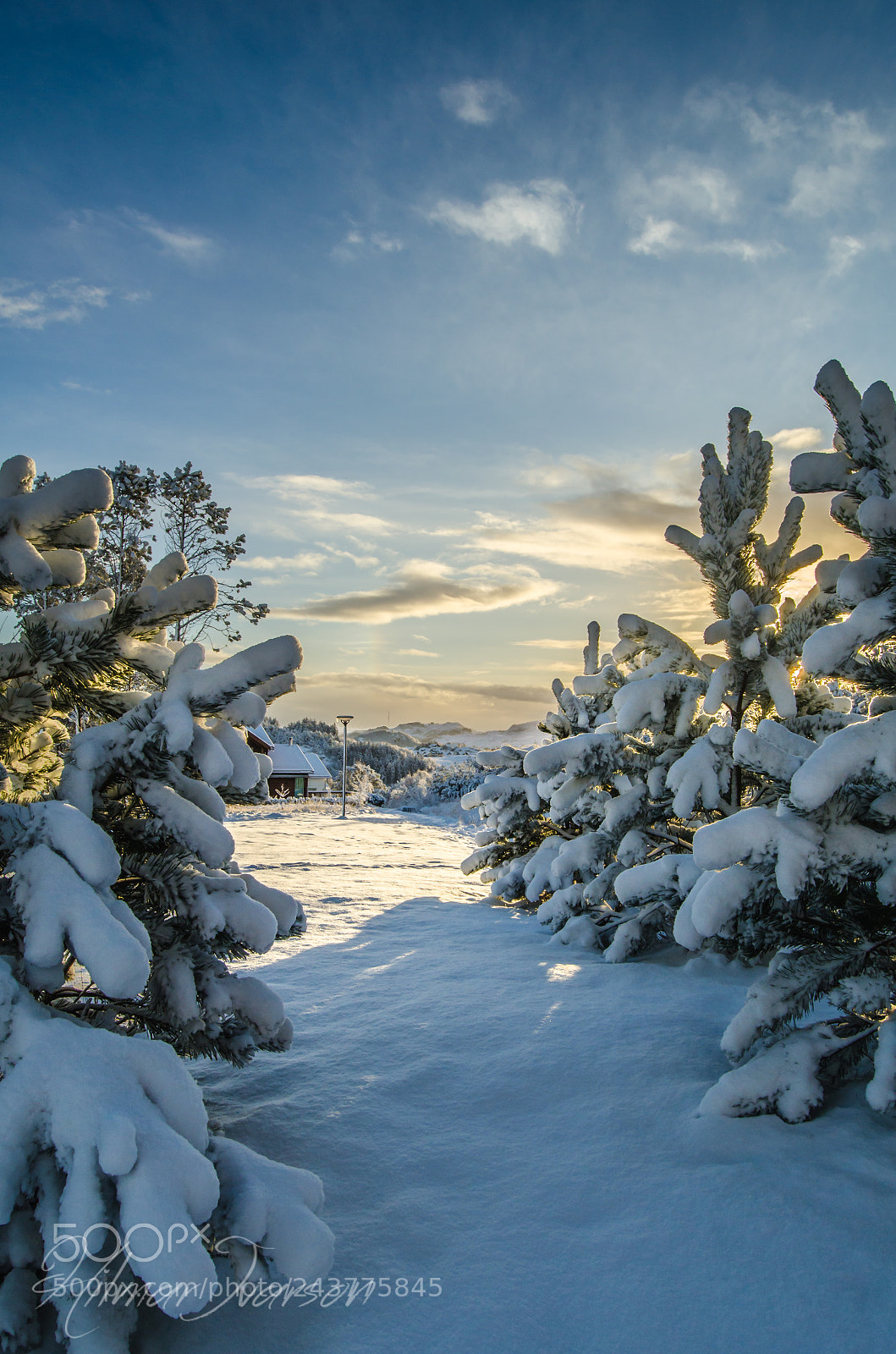 Nikon D5100 sample photo. Silent morning photography