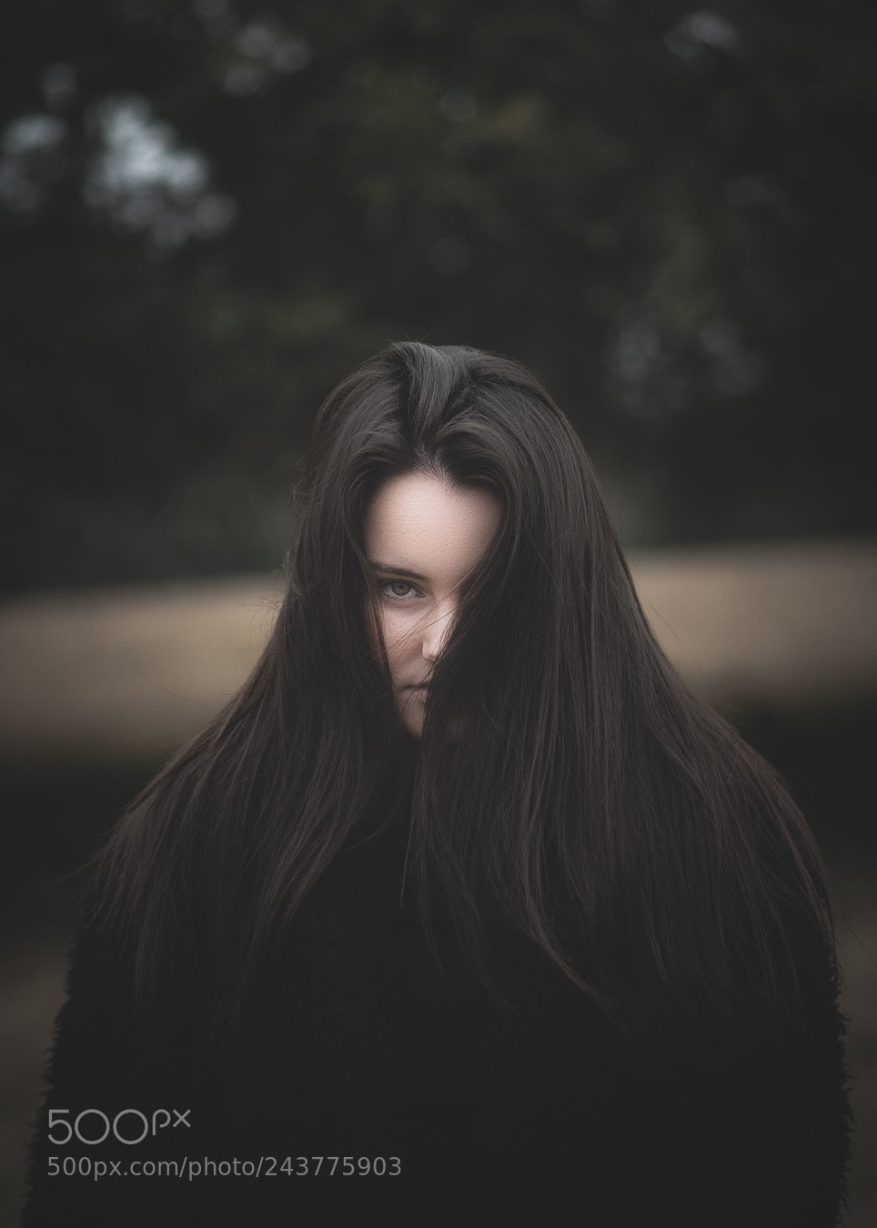 Sony a7S II sample photo. Schulenburg, tx photography