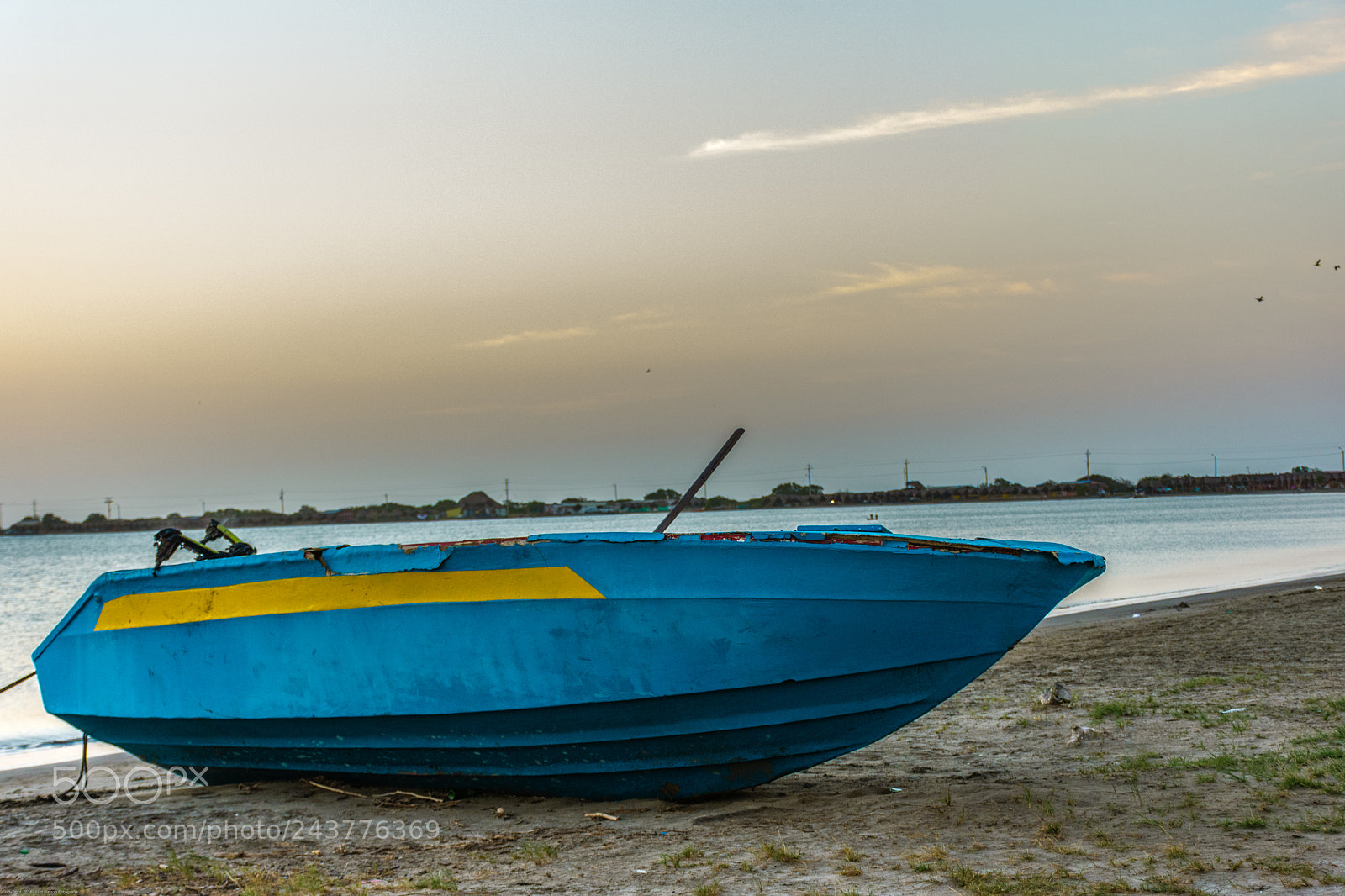Nikon D7200 sample photo. Untitled photography