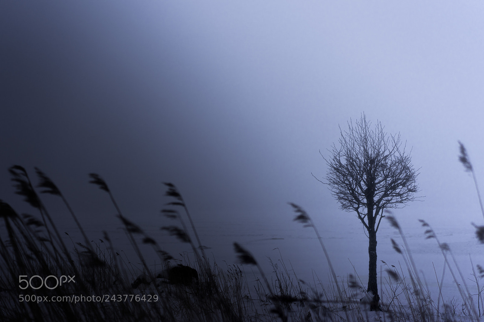 Sony a7 sample photo. Alone in the storm. photography