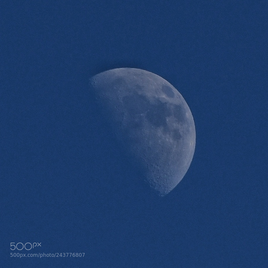 Nikon D7200 sample photo. #luna adesso davanti casa photography