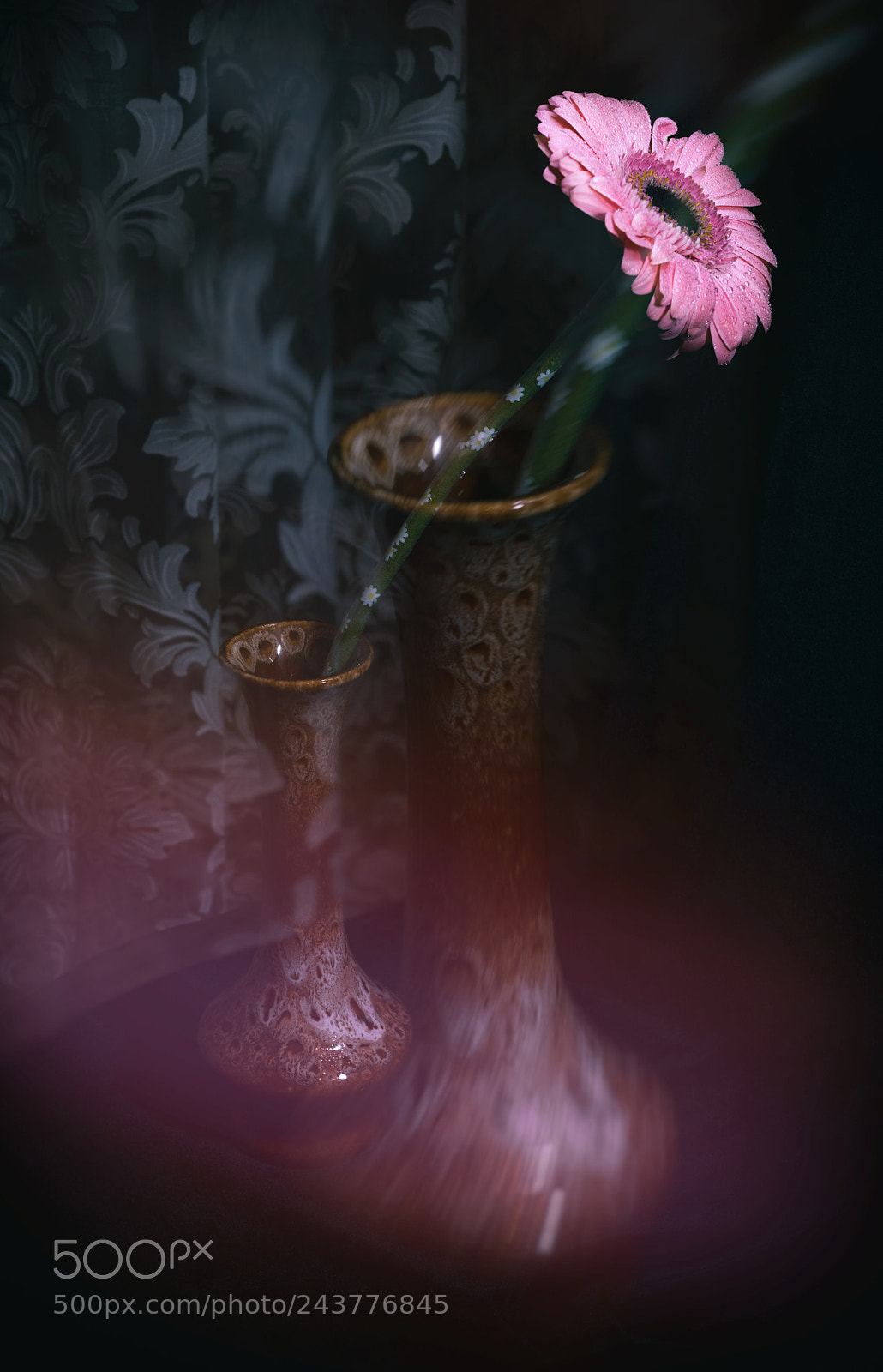 Nikon D800 sample photo. Flo photography
