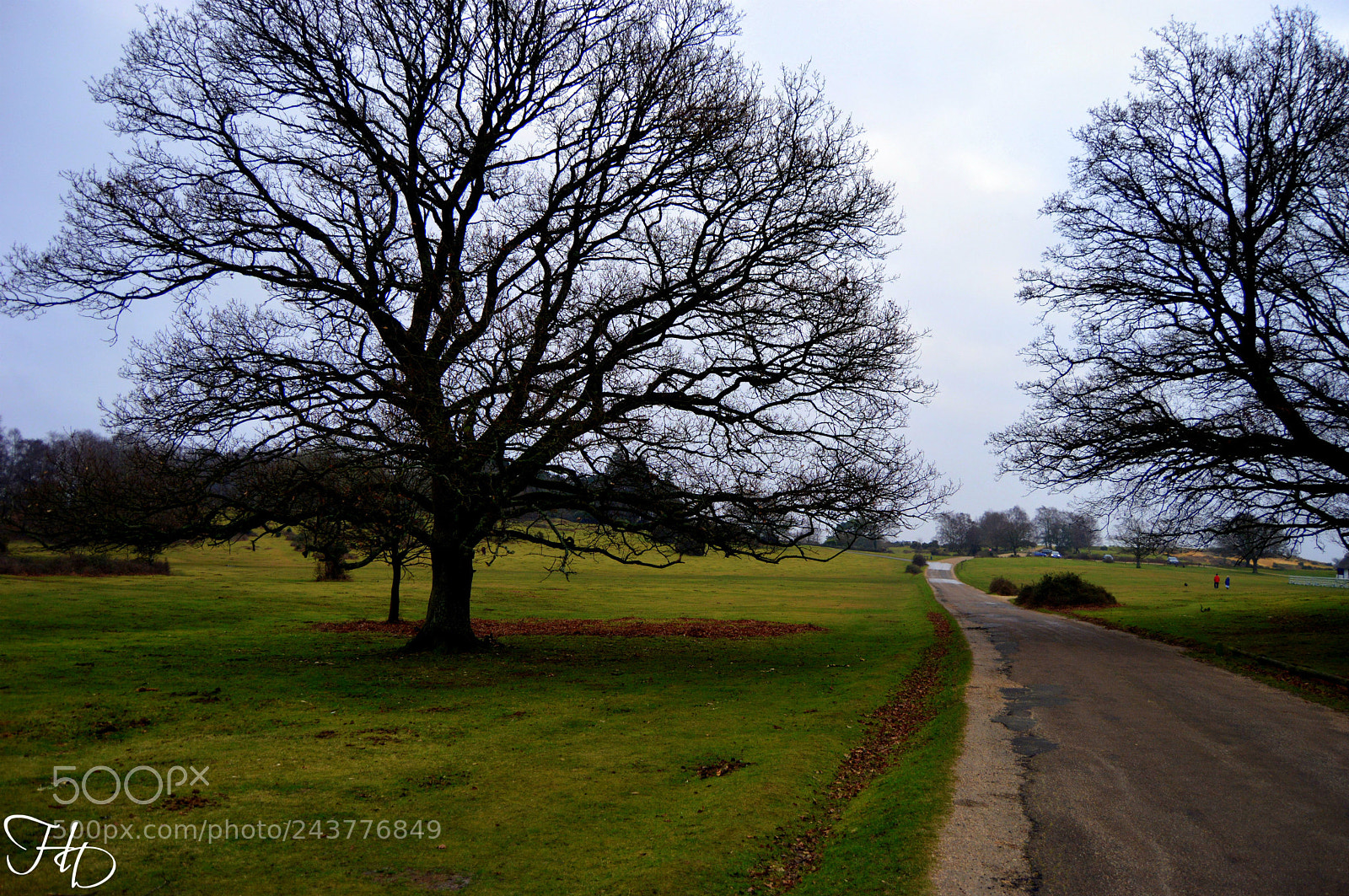 Nikon D3200 sample photo. Follow the path photography