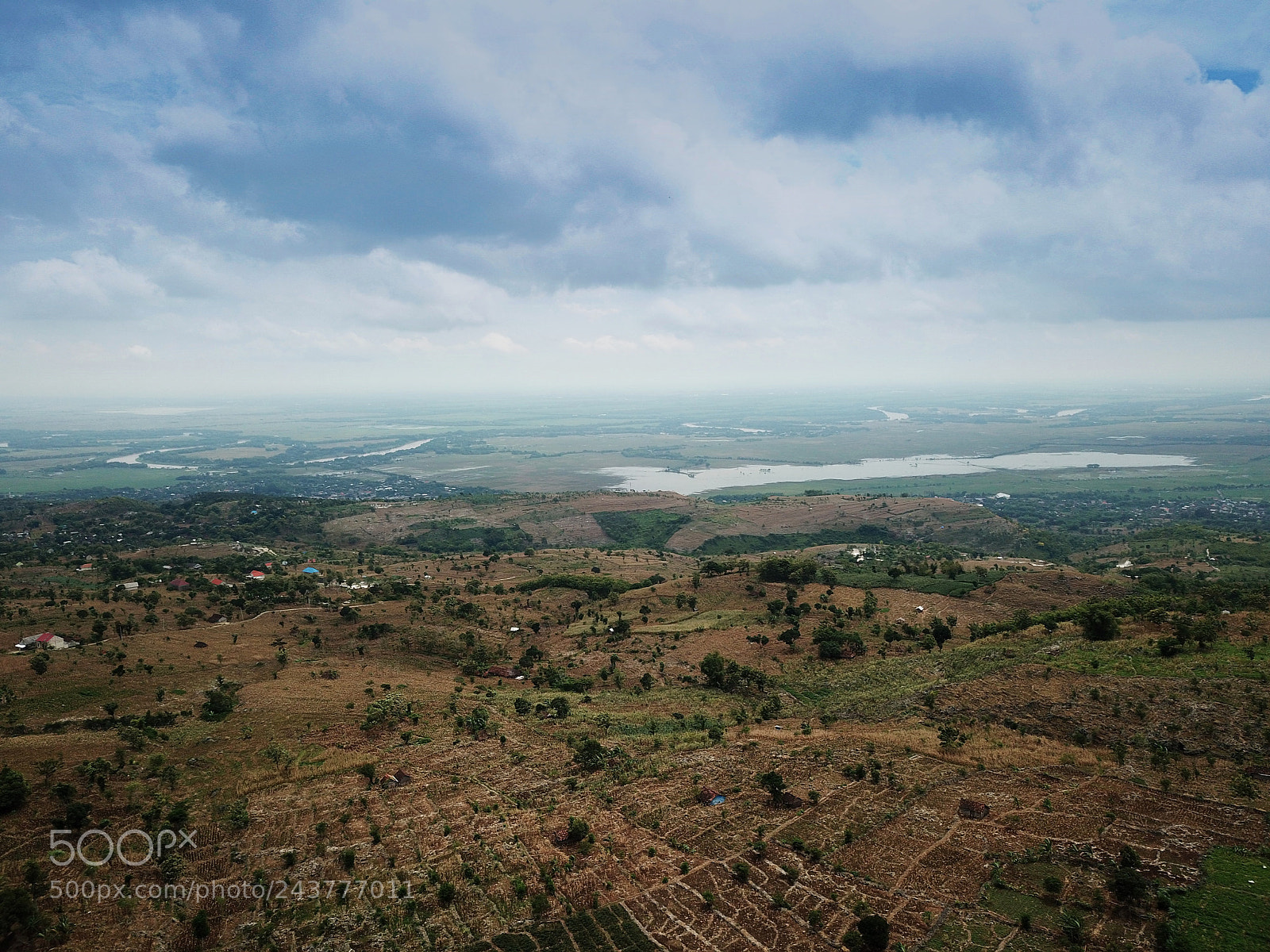 DJI FC220 sample photo. Corn field photography