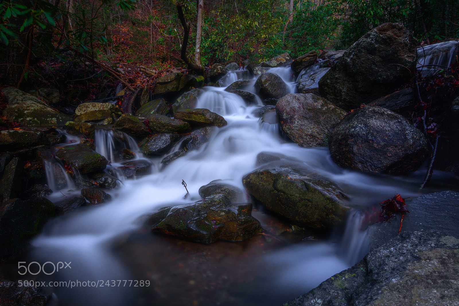 Nikon D7200 sample photo. Catawba falls photography
