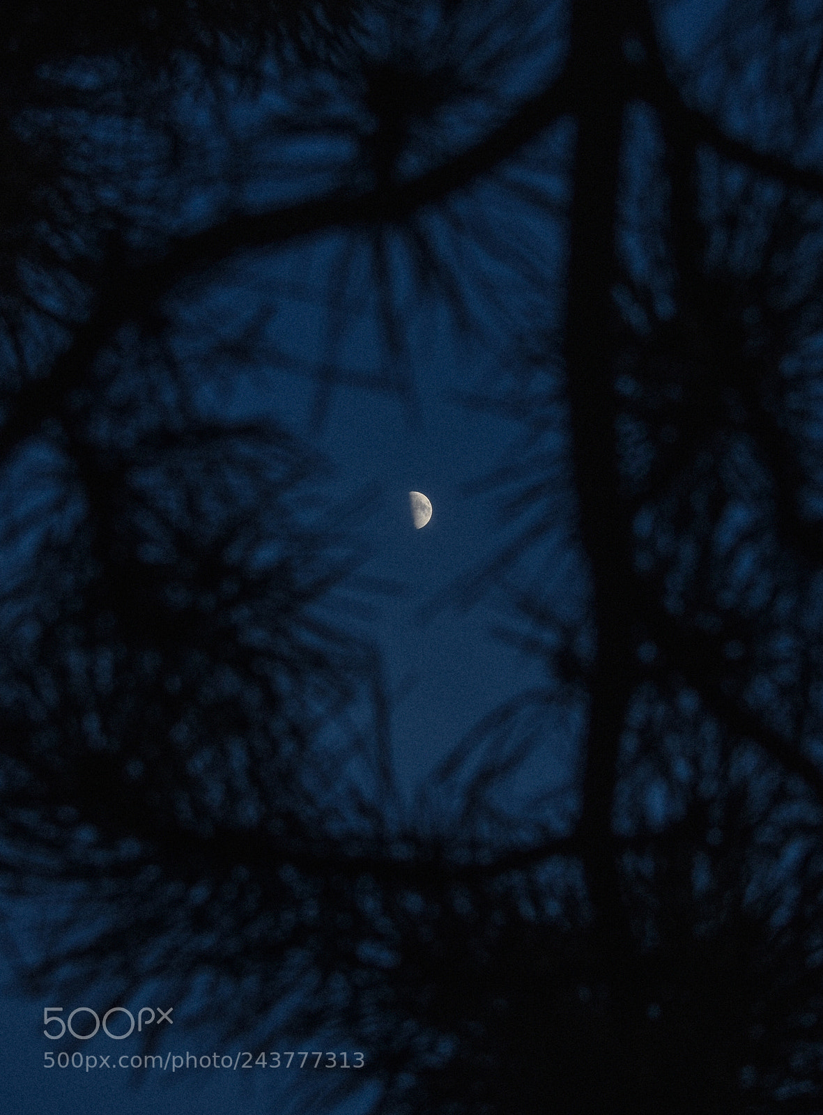 Nikon D3400 sample photo. Moonshine, take us to photography