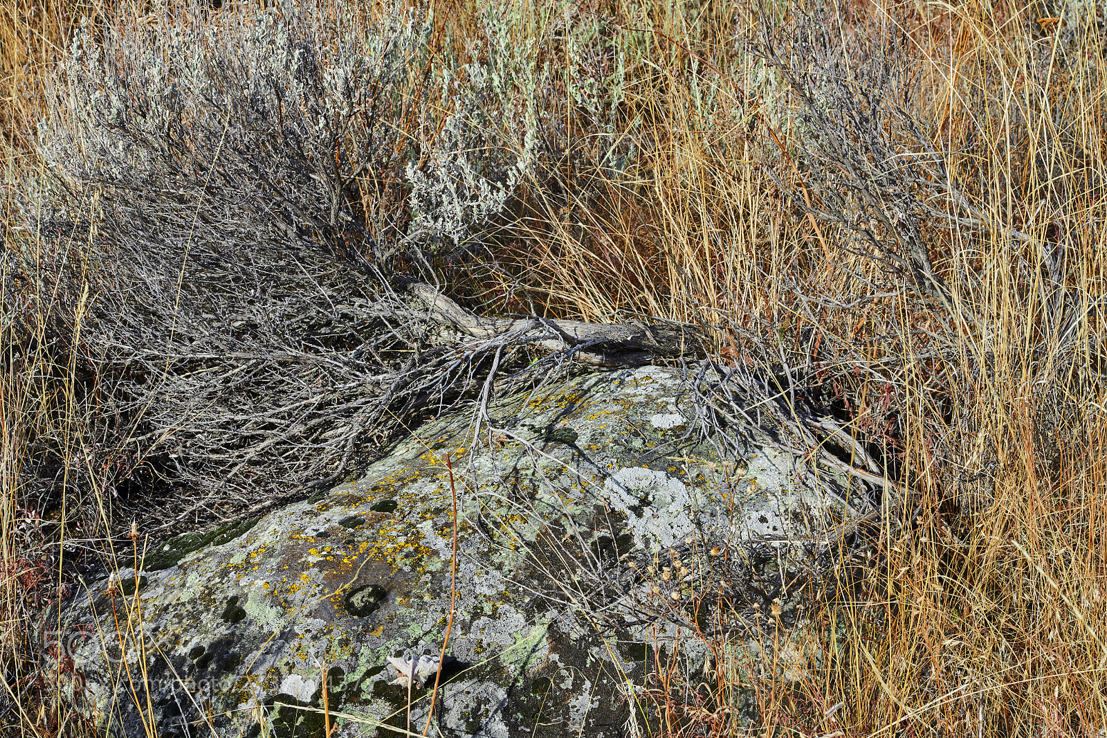 Nikon D850 sample photo. Dsc photography