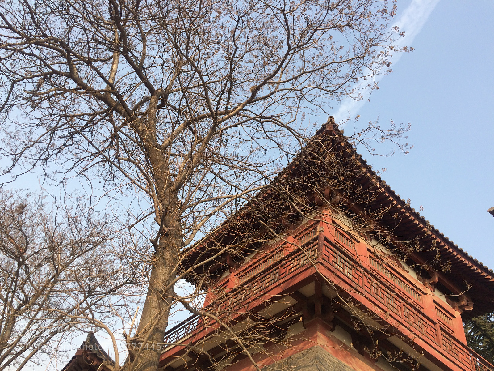 Apple iPhone 5s sample photo. Img photography