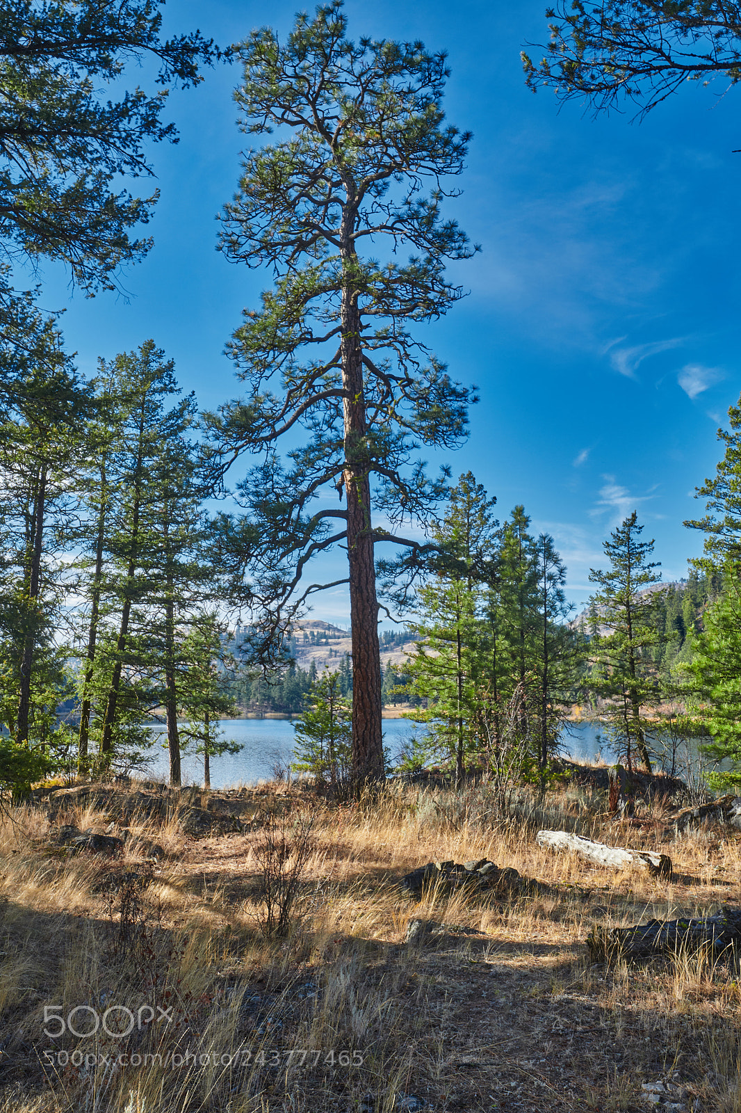 Nikon D850 sample photo. Blue lake rocky spit photography