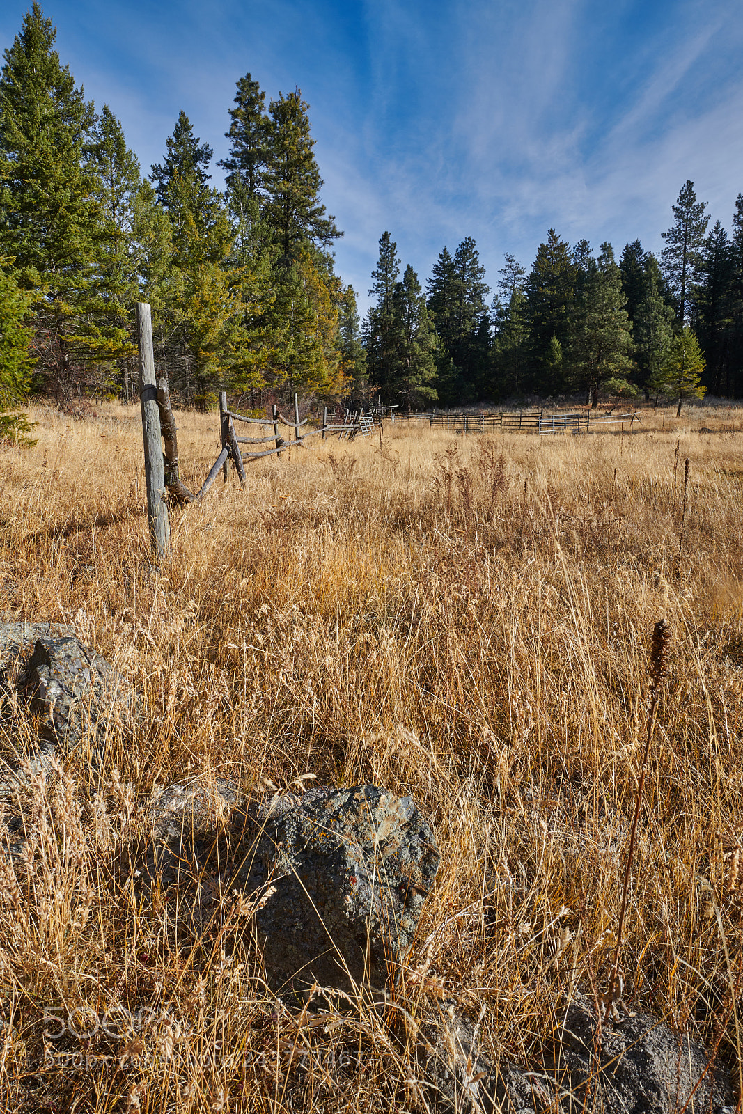 Nikon D850 sample photo. Dsc photography