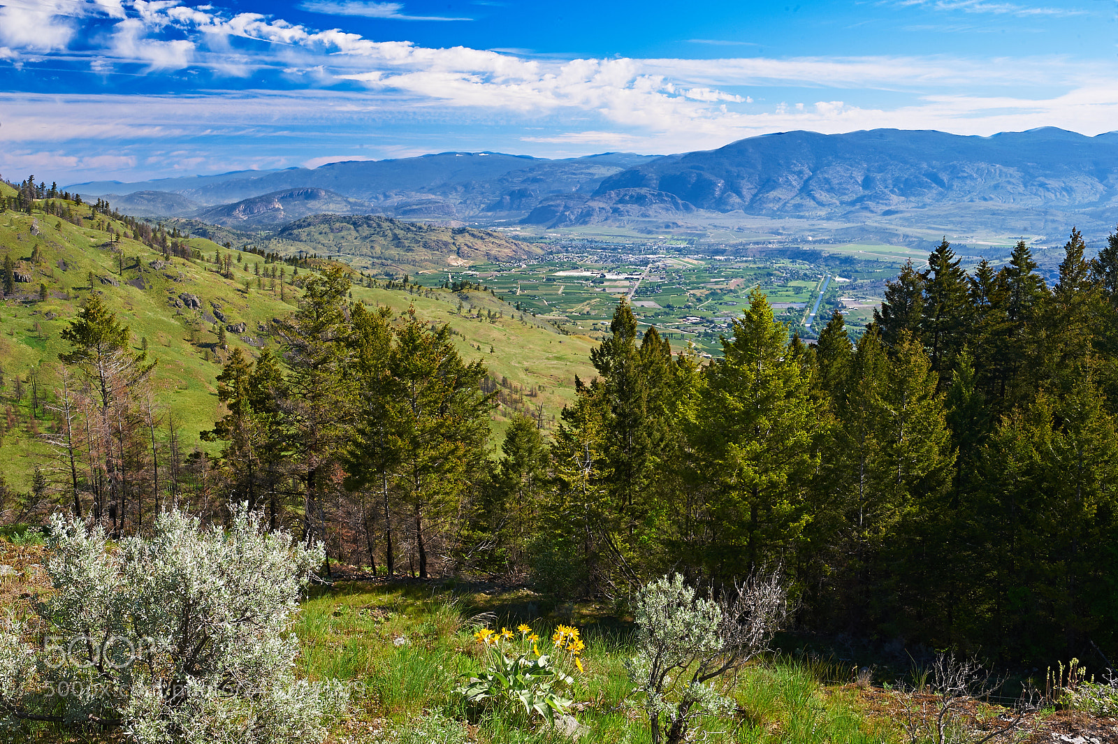 Nikon D700 sample photo. South okanagan valley overlooking photography