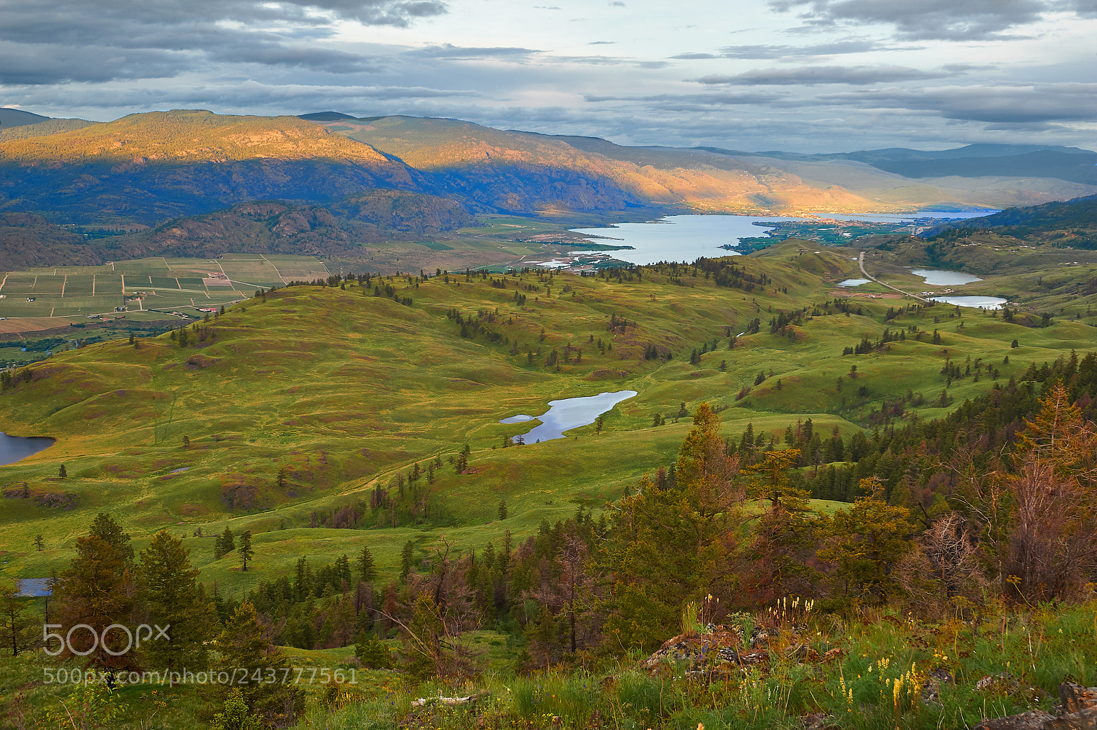 Nikon D700 sample photo. South okanagan valley spring photography
