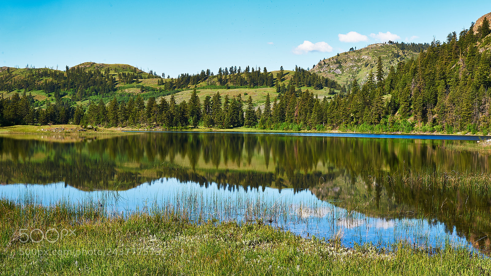 Nikon D700 sample photo. Blue lake wetlands in photography