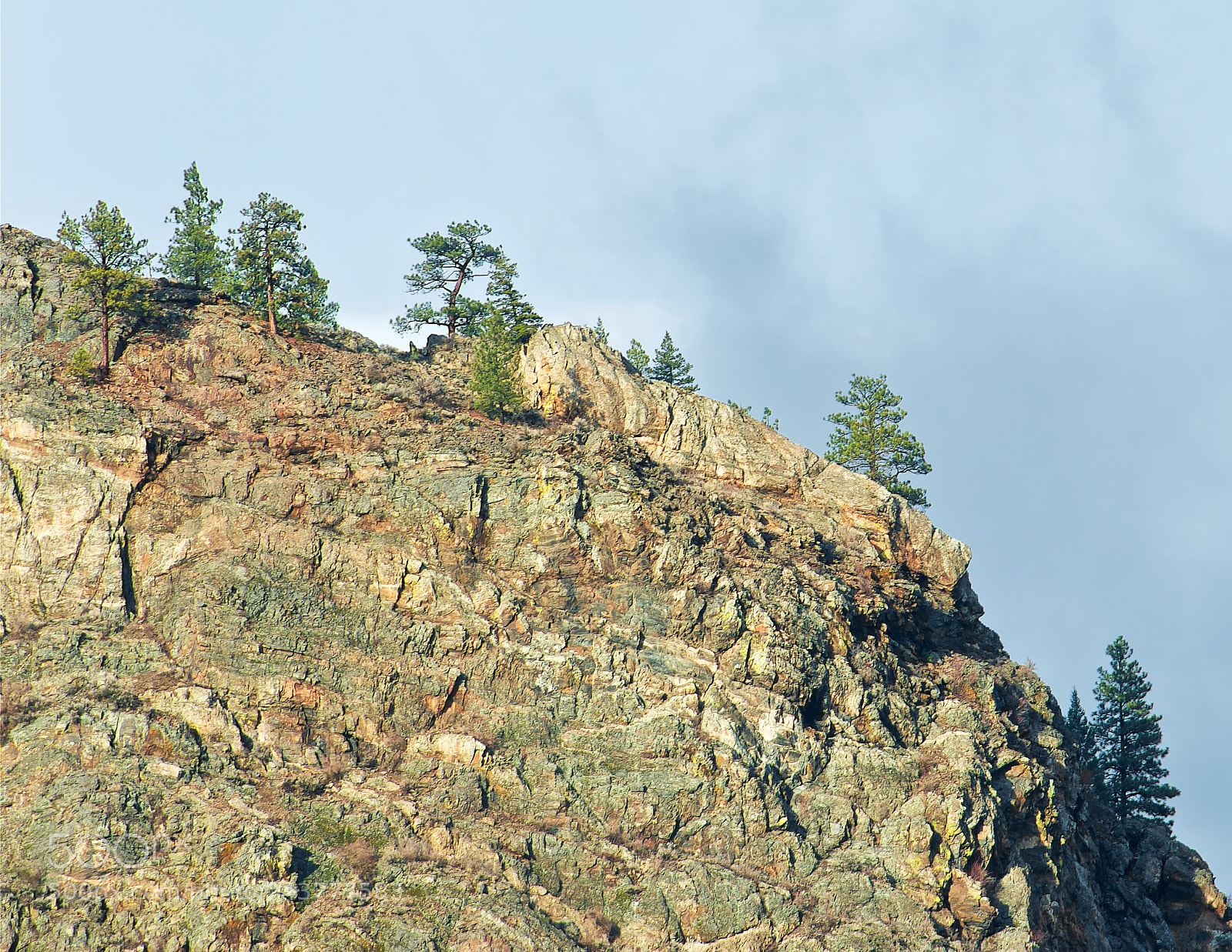Nikon D700 sample photo. Osoyoos cliff and trees photography