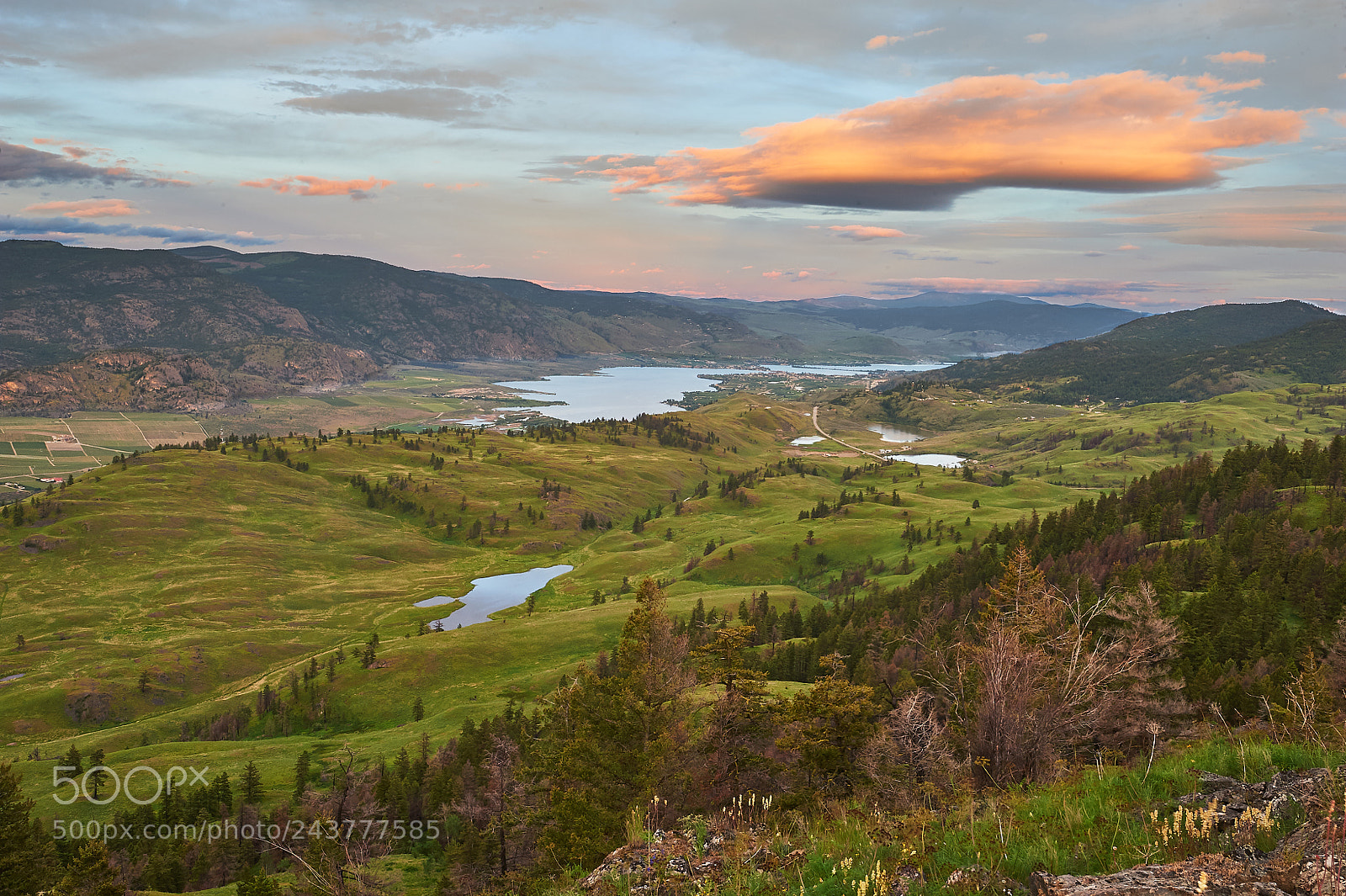 Nikon D700 sample photo. Osoyoos in spring from photography