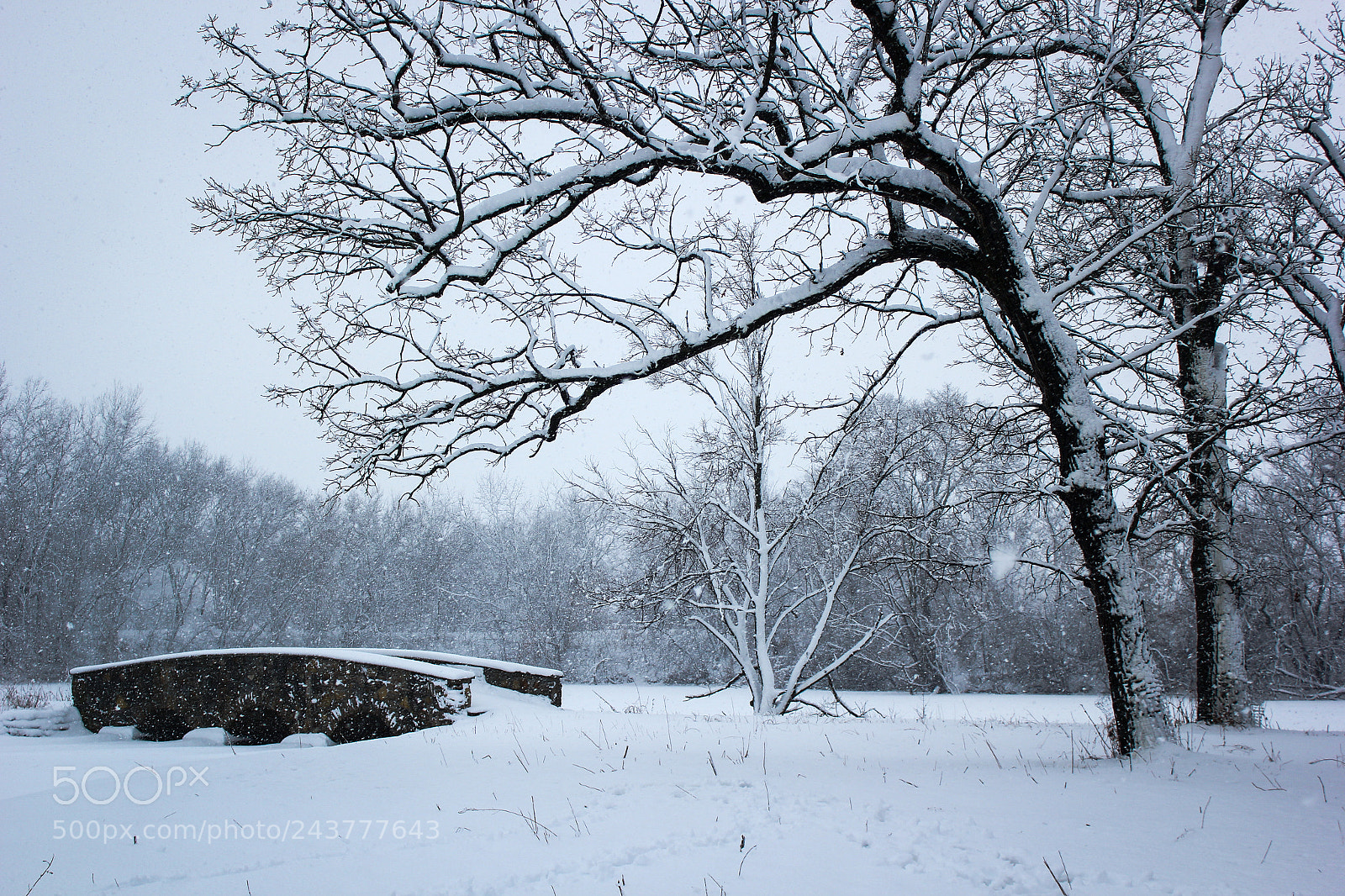 Canon EOS 550D (EOS Rebel T2i / EOS Kiss X4) sample photo. Winter wonderland photography