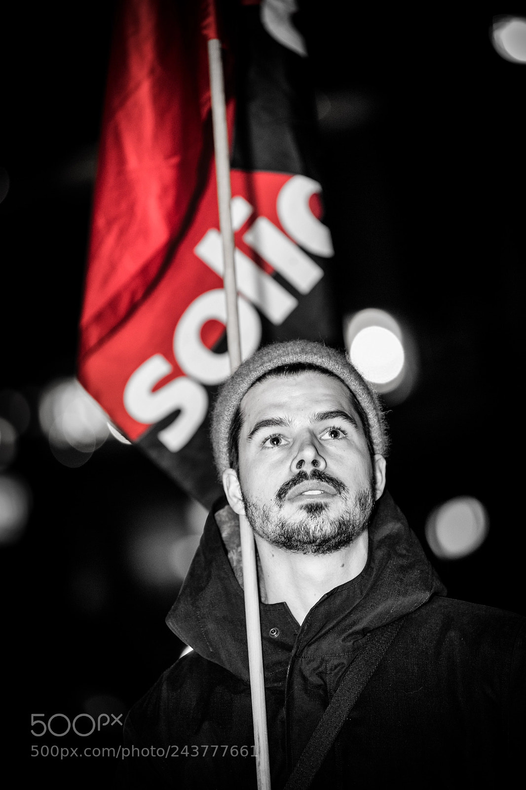 Nikon D5 sample photo. Manifestation trump not welcome photography