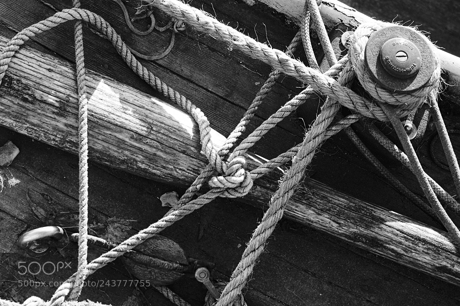 Nikon D50 sample photo. Knots photography