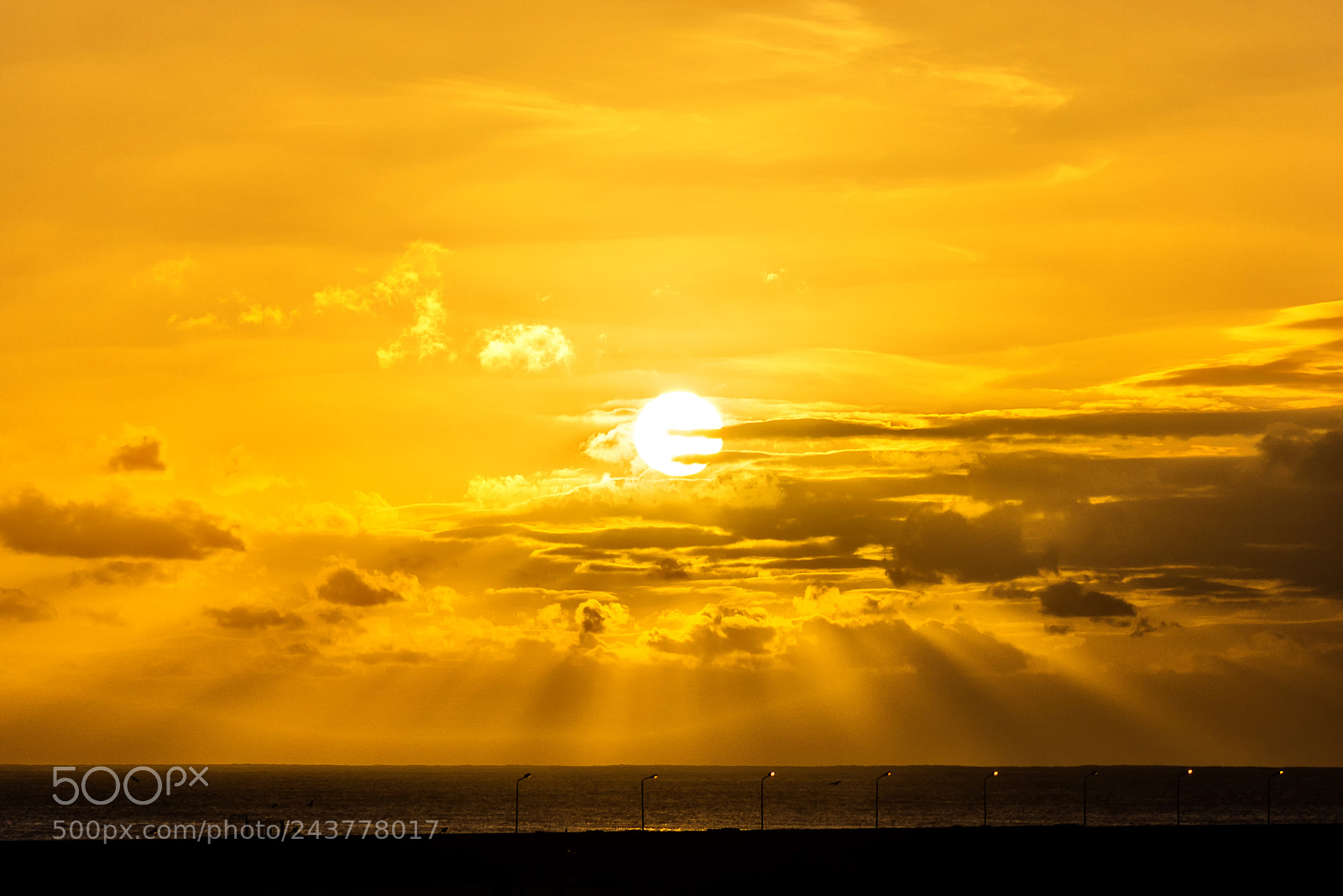 Nikon D610 sample photo. The sun at center photography