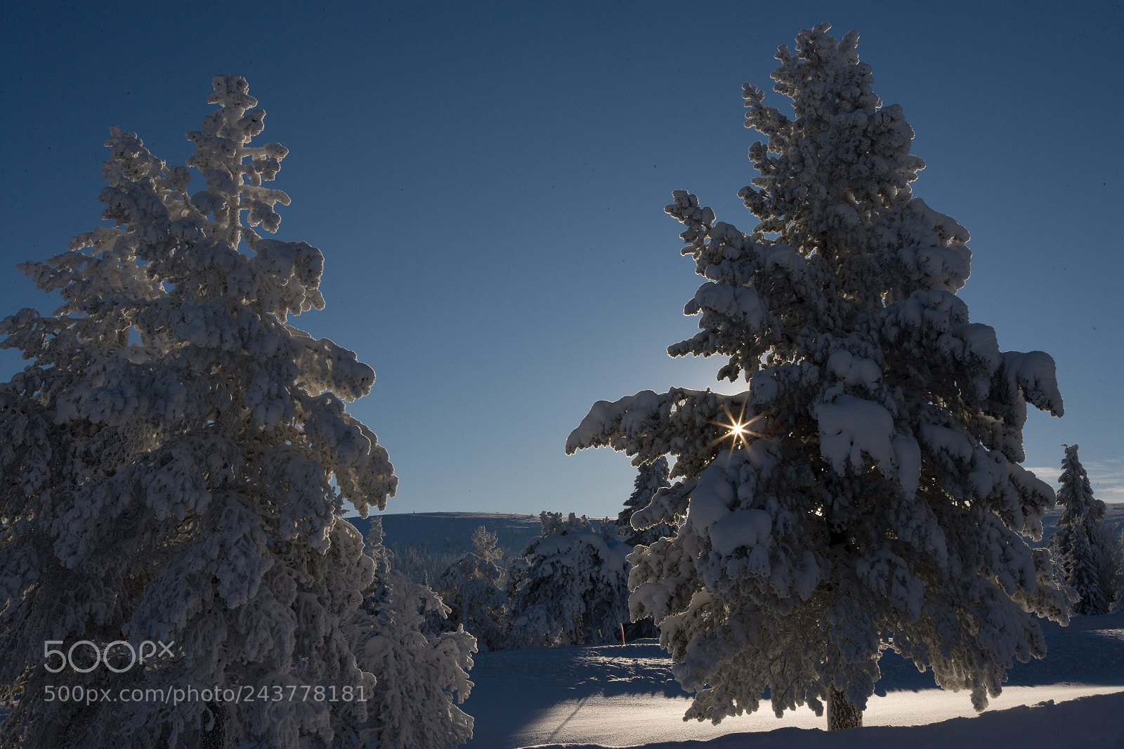 Canon EOS-1Ds Mark II sample photo. Winter in the middle photography