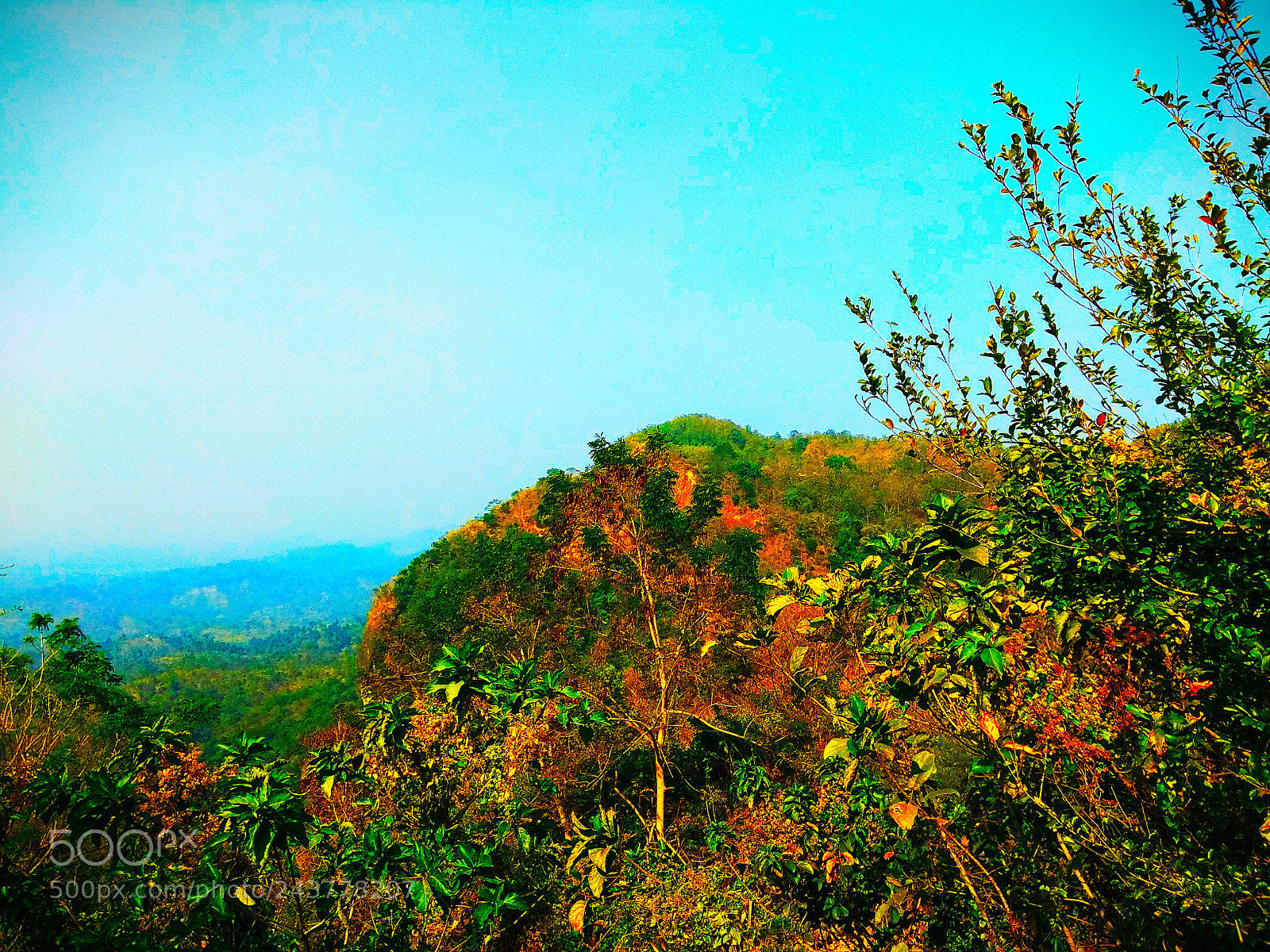 Xiaomi Redmi Note 4 sample photo. Untitled photography