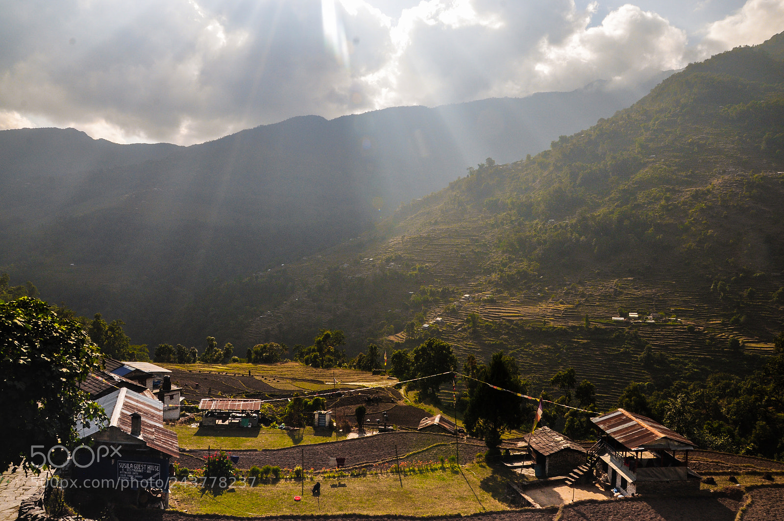 Nikon D90 sample photo. Village in peace photography