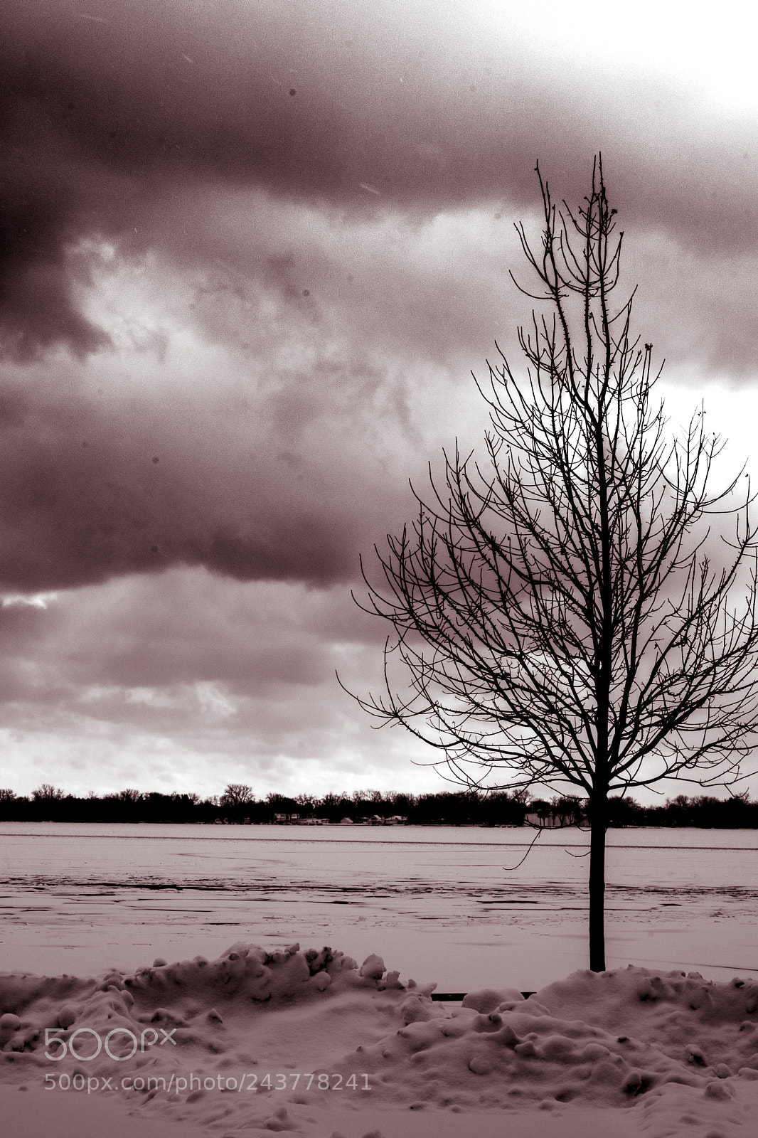 Nikon D5500 sample photo. Solitude photography