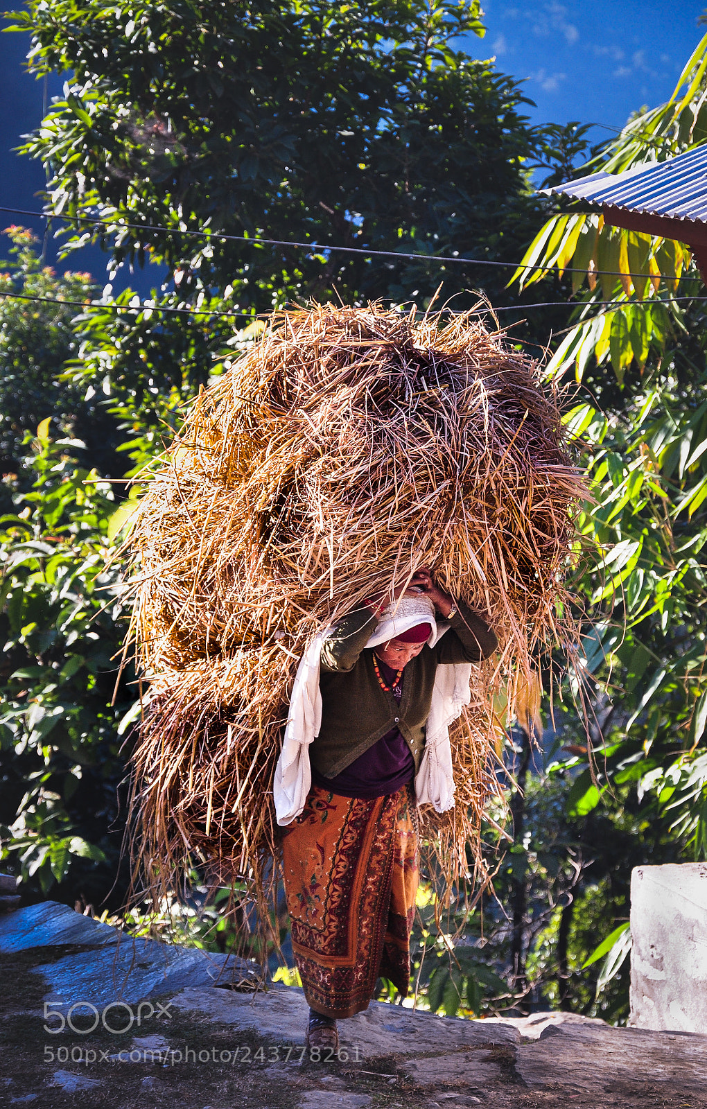 Nikon D90 sample photo. Grain harvest photography