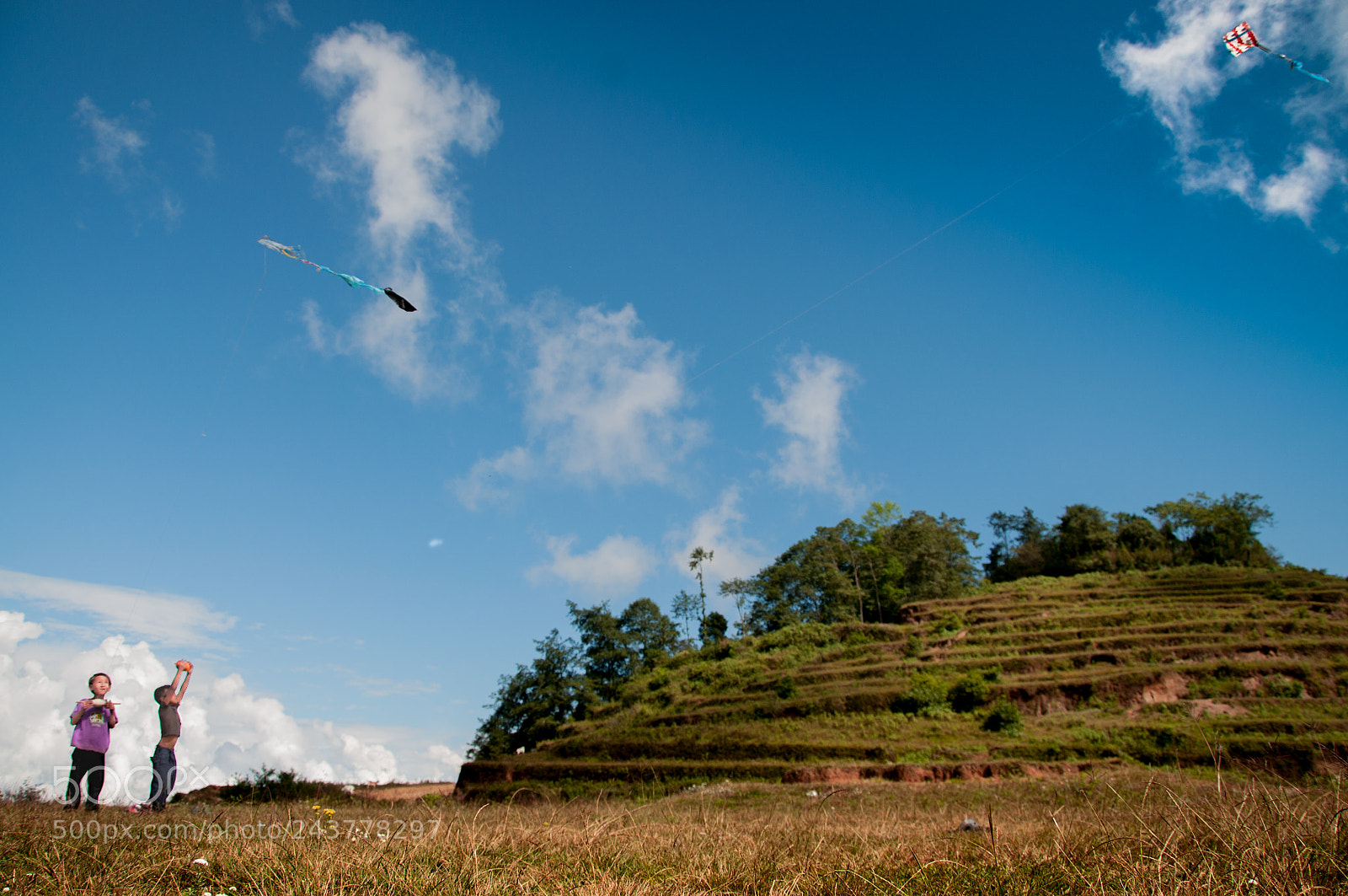 Nikon D90 sample photo. The kite runners photography