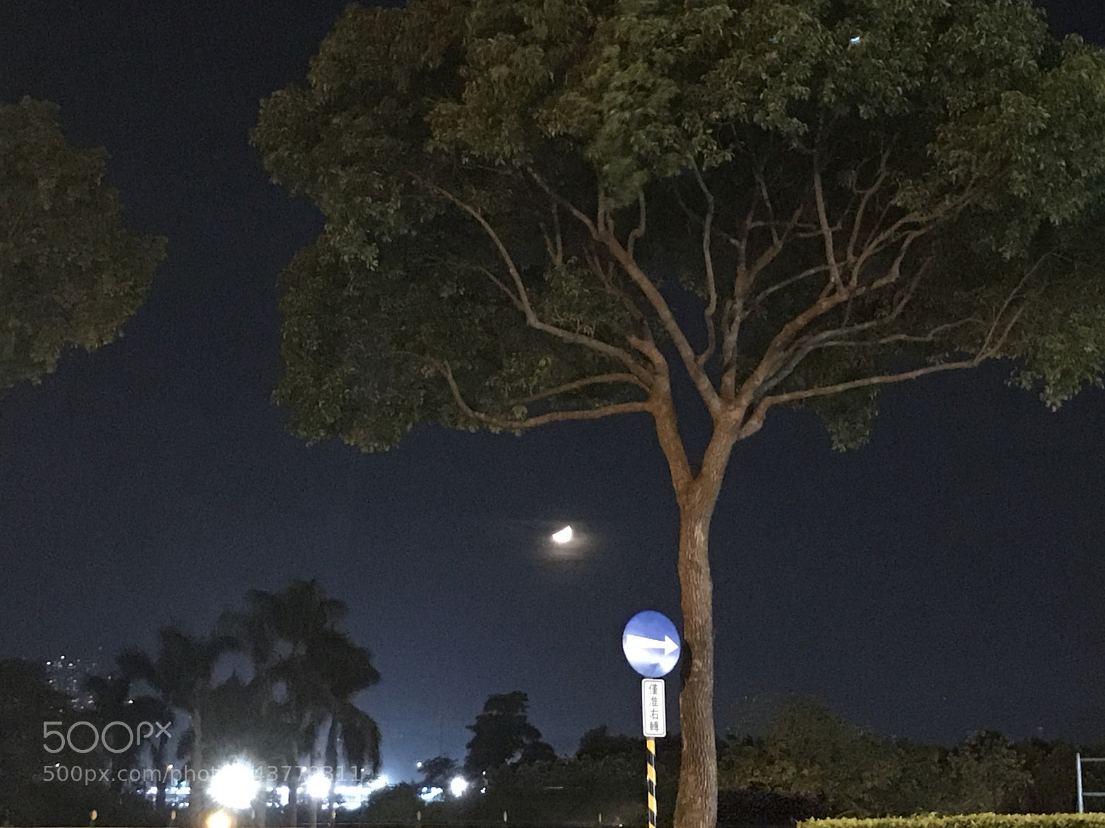 Apple iPhone 7 sample photo. Taiwan  photography