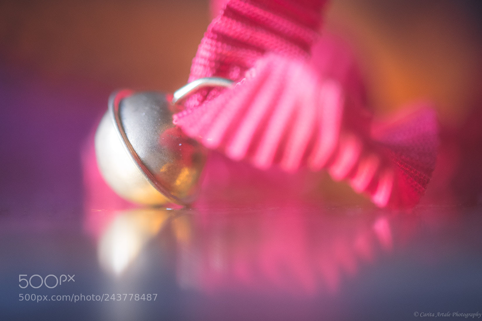 Nikon D500 sample photo. Jingle bell photography