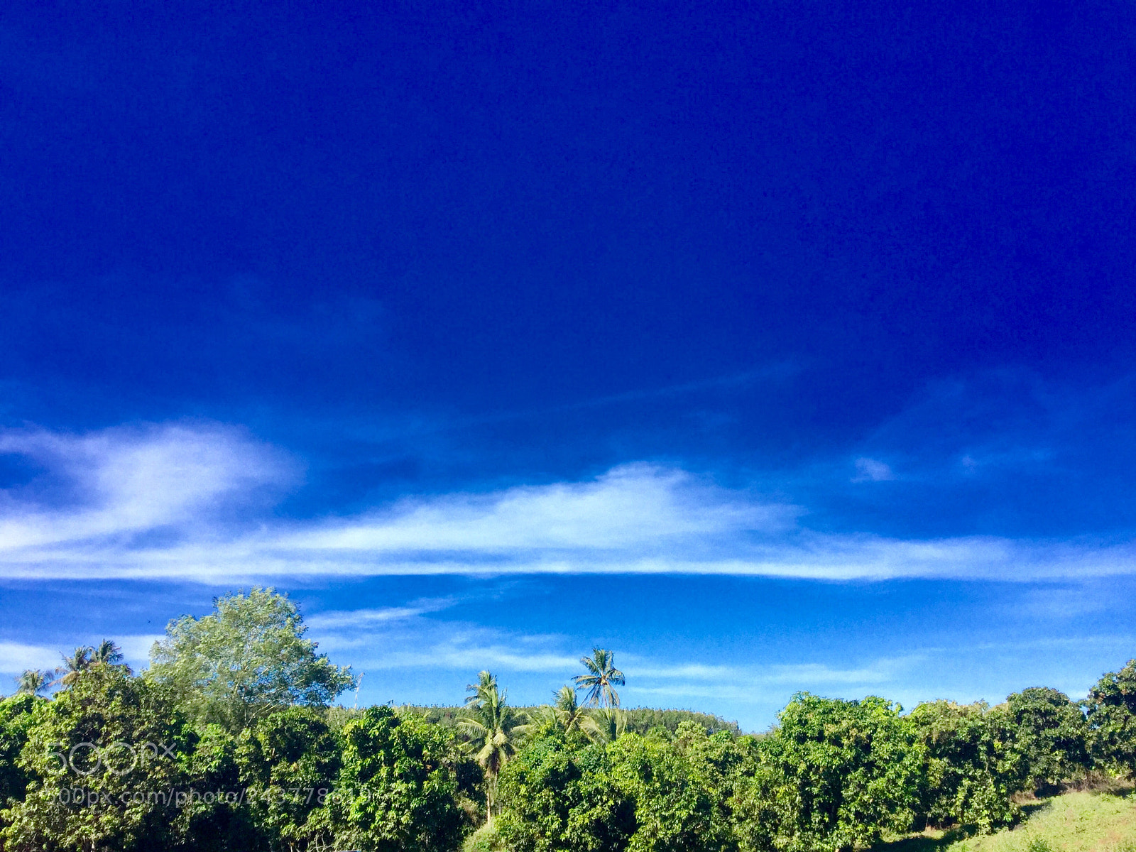 Apple iPad Air 2 sample photo. Untitled photography