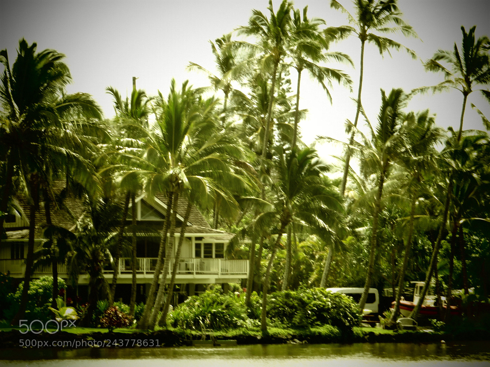 Canon PowerShot SX720 HS sample photo. Wailua river photography