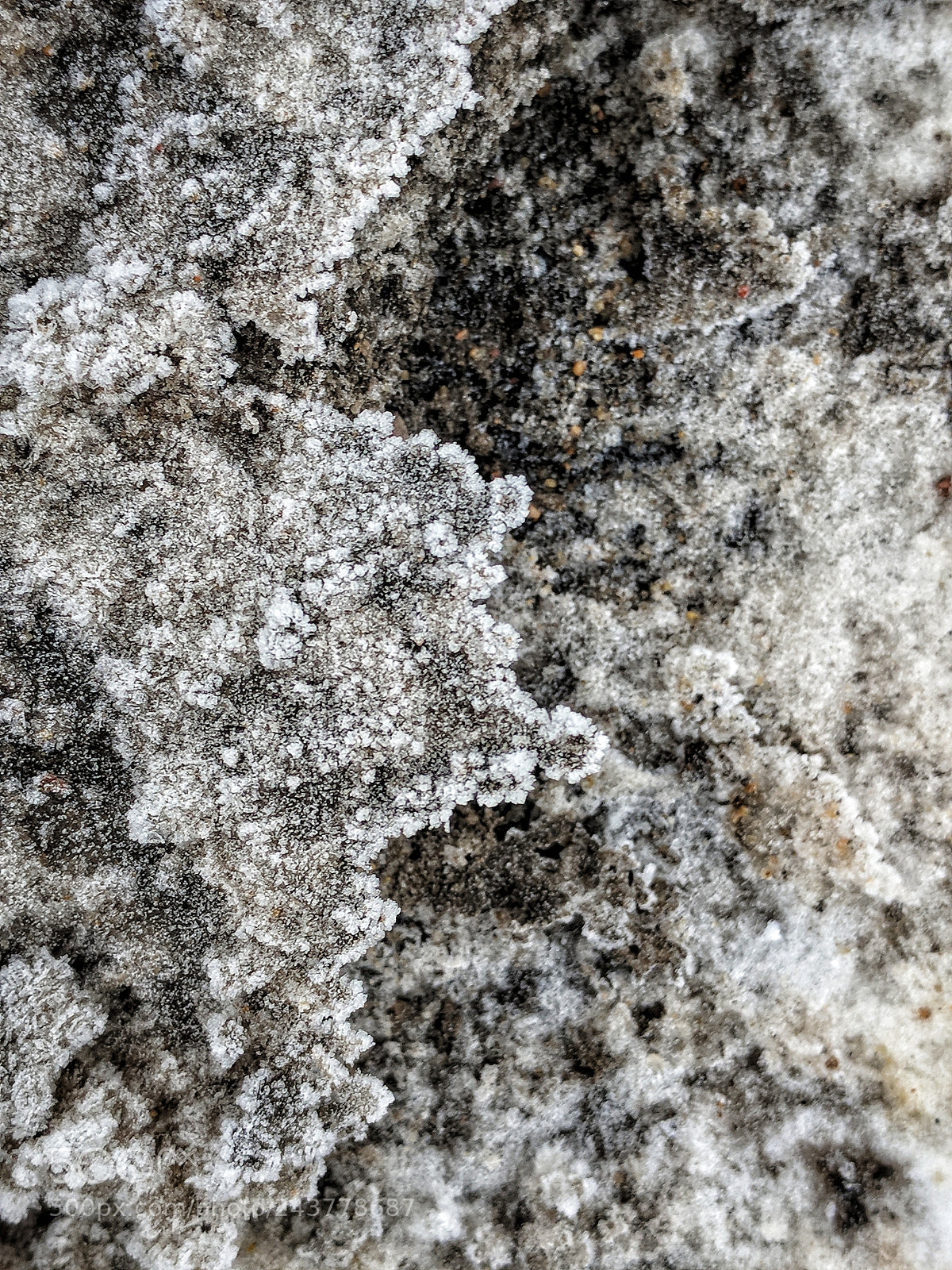 Google Pixel XL sample photo. Salt & frost photography