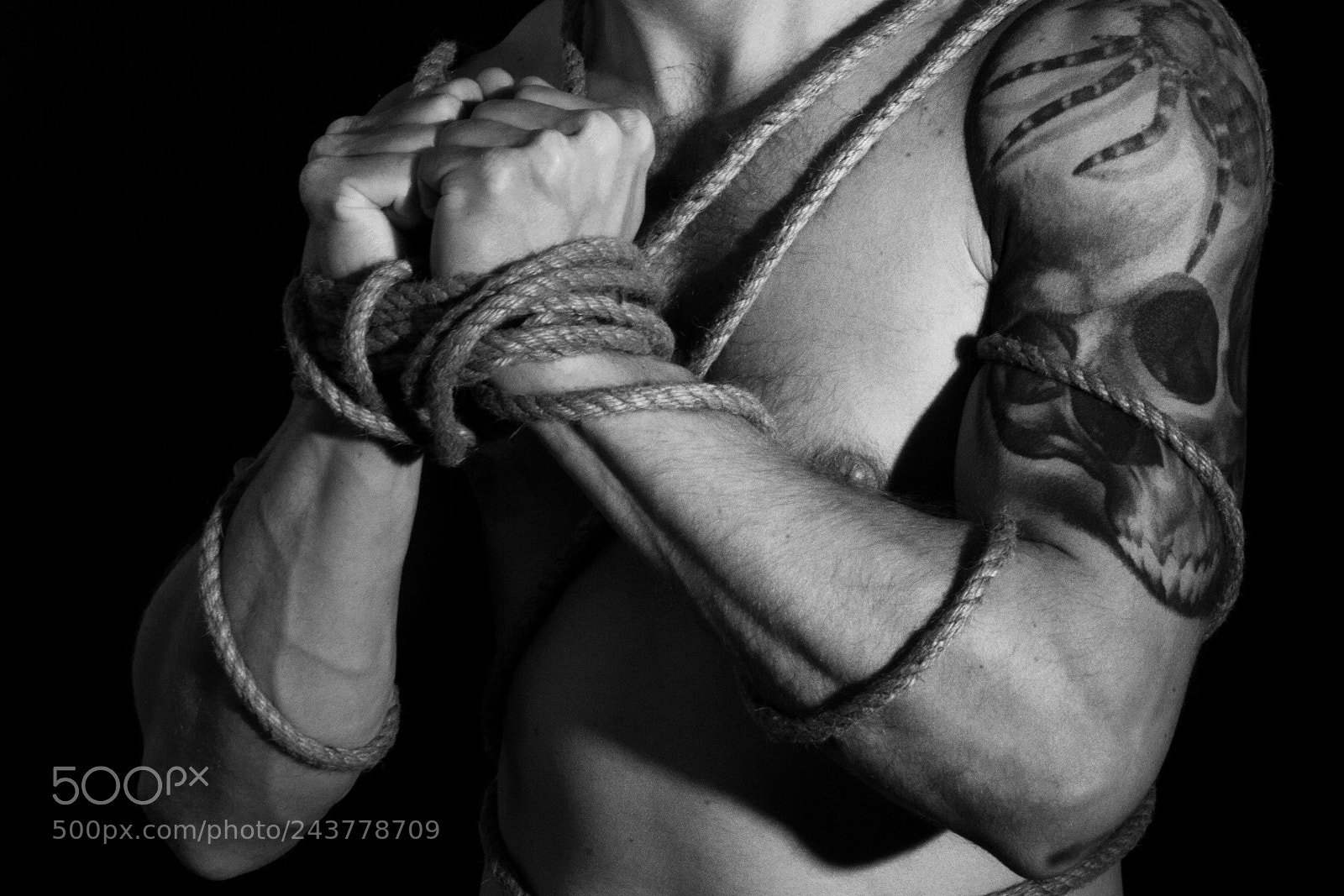 Nikon D7100 sample photo. Untitled photography