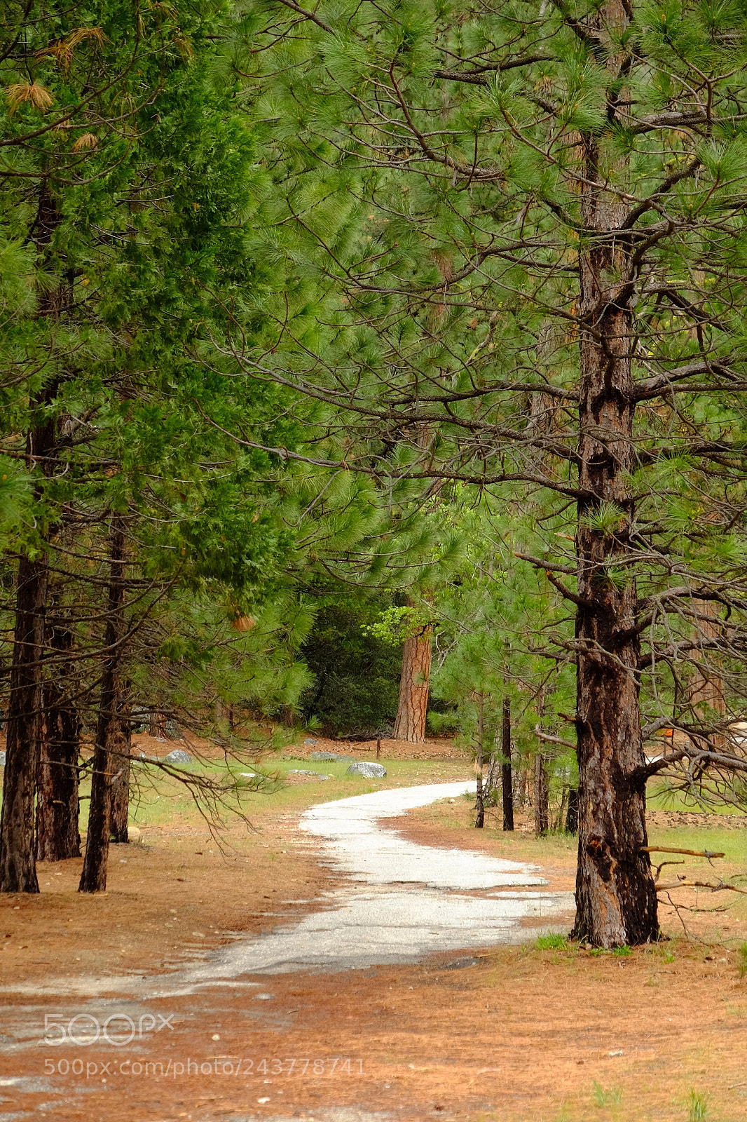 Fujifilm X-T1 sample photo. Yosemite valley photography