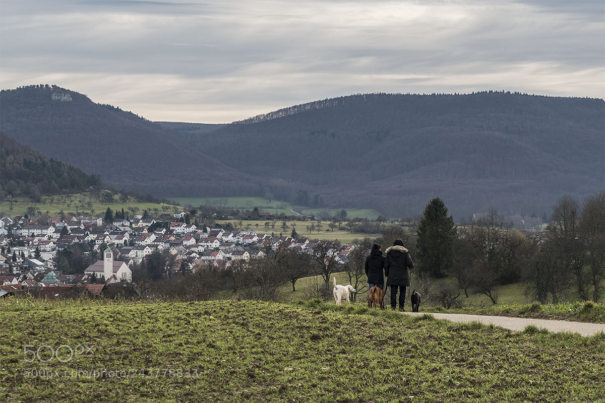 Sony a7R II sample photo. Eningen unter achalm photography